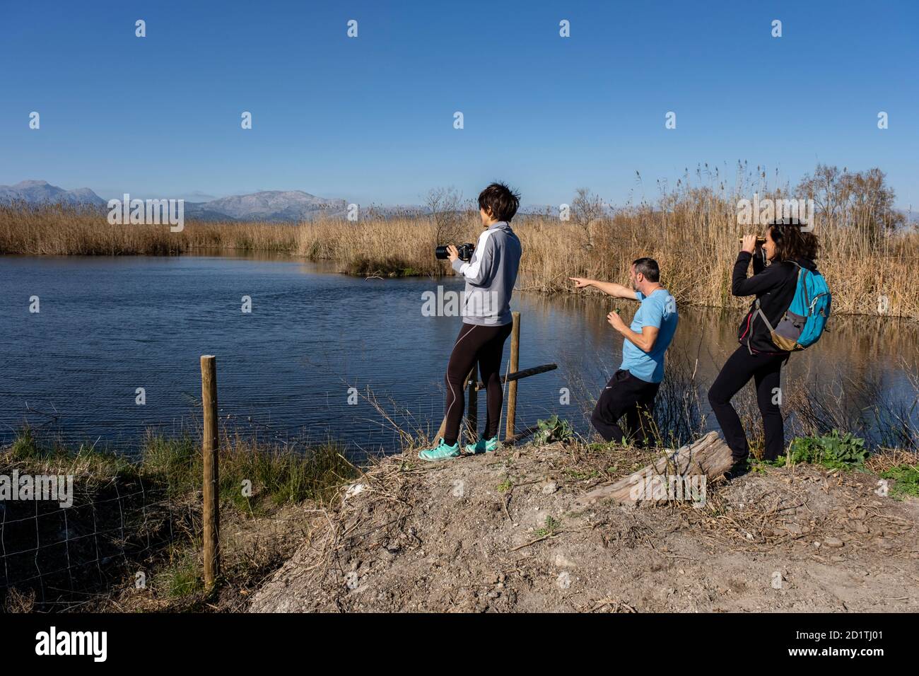 Amarador, albufera de mallorca, Majorque, Iles Baléares, Espagne Banque D'Images