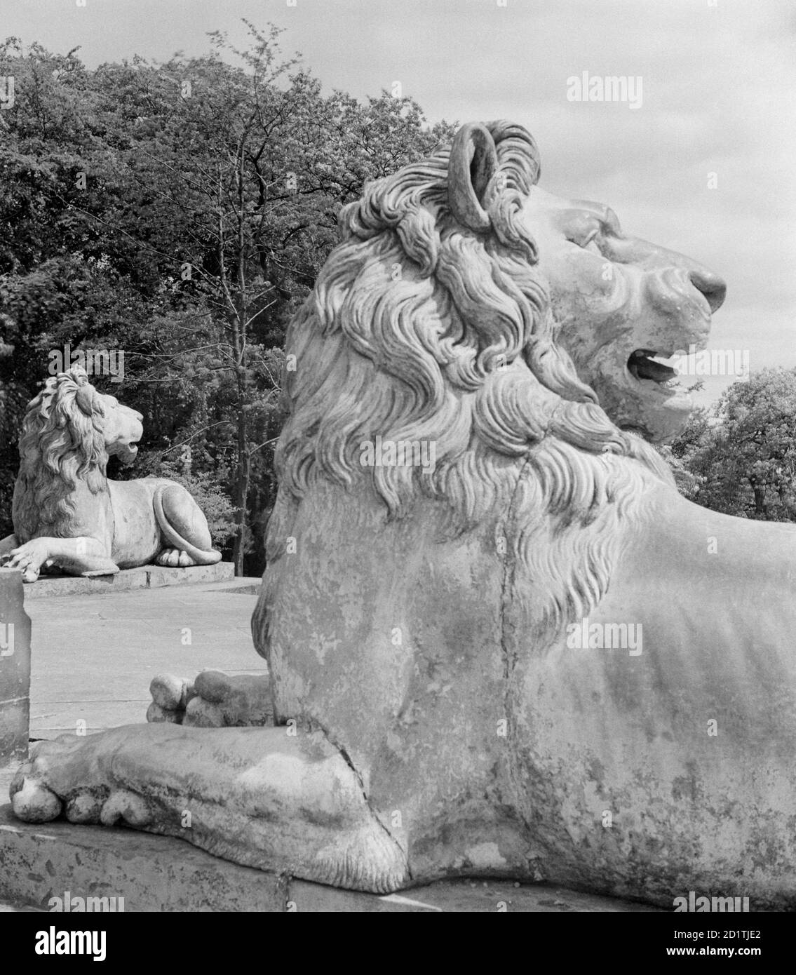 COLONNE PERCY TENANTRY, Alnwick, Northumberland. Un détail de la colonne de Tenantry Percy à Alnwick montrant deux des lions à la base du monument. Il a été érigé en 1816 par les locataires reconnaissants du duc de Northumberland en reconnaissance de la réduction des loyers pendant la dépression. Photographié par Eric de Mare. Banque D'Images