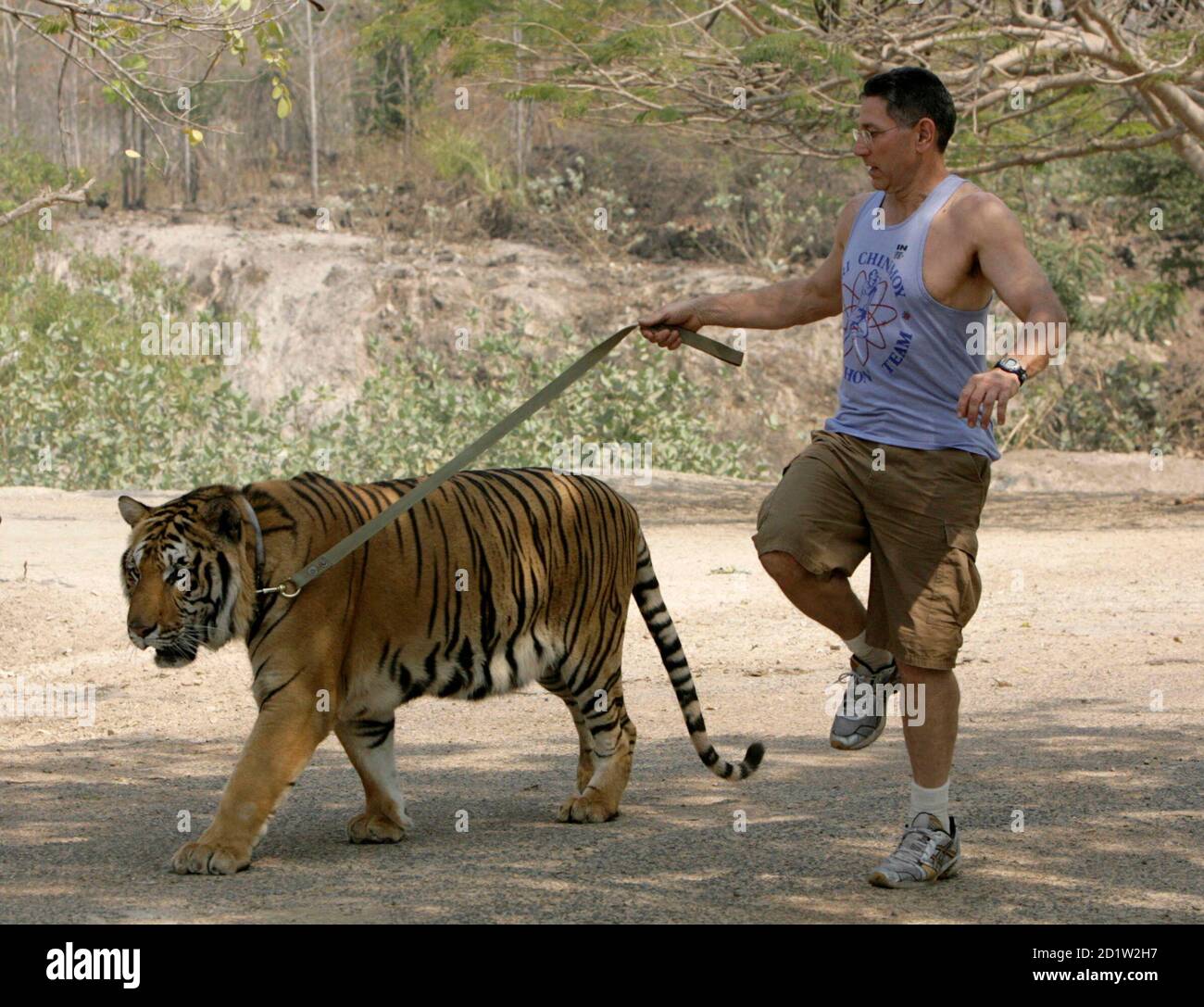 ontploffing Boer uitgebreid Ashrita Furman of the U.S. holds a tiger on a leash, at the start of a  world record attempt, while skipping at the Tiger Temple in Kanchanaburi  province, 120km (75 miles) north-west