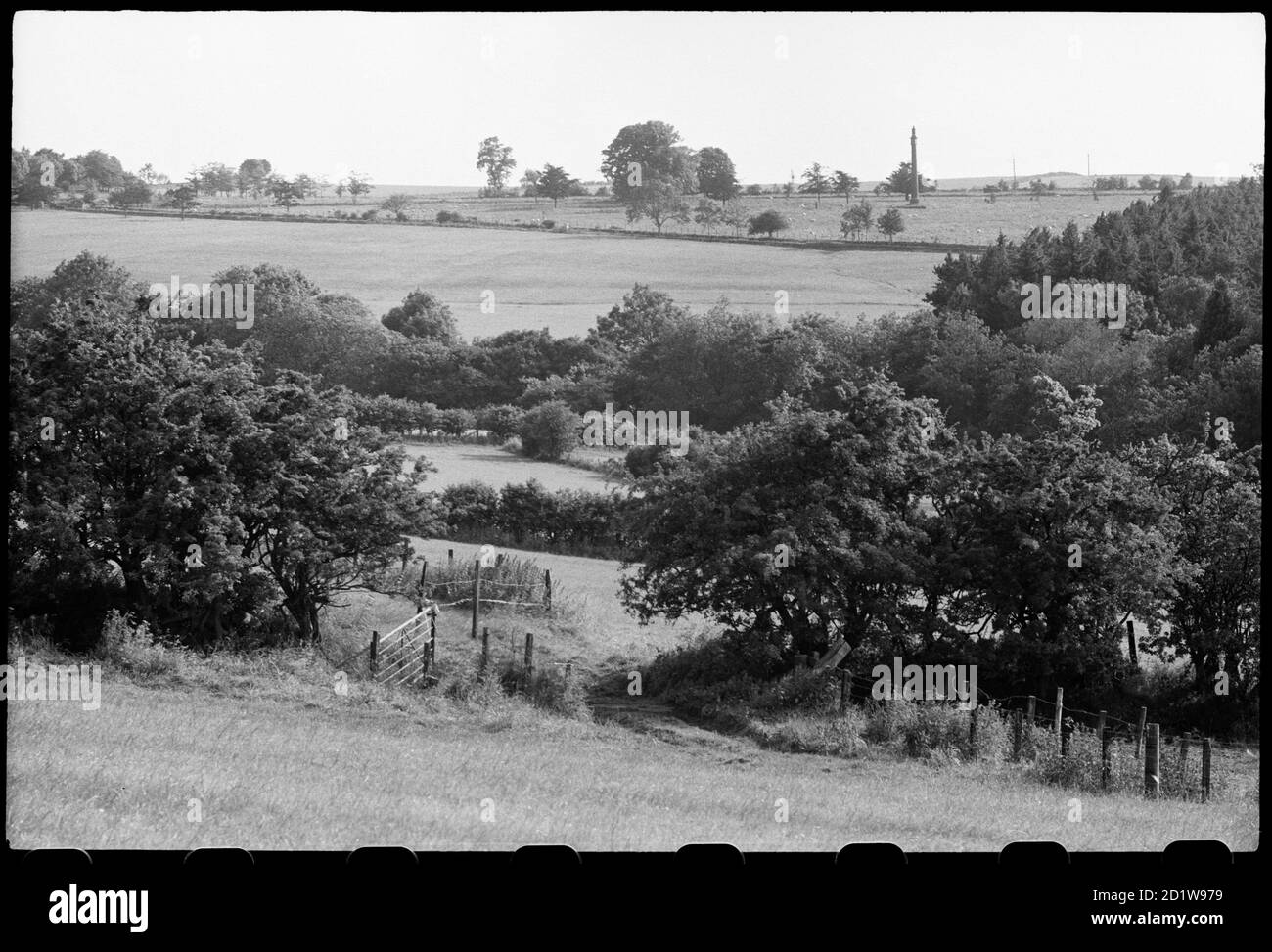 Vue d'une colonne commémorative à environ 400 m au sud de Lemmington Hall, construite en 1786 à Surrey par Sir John Soane et relocalisée à Northumberland en 1928, vue au loin avec les champs et le feuillage au premier plan. Banque D'Images