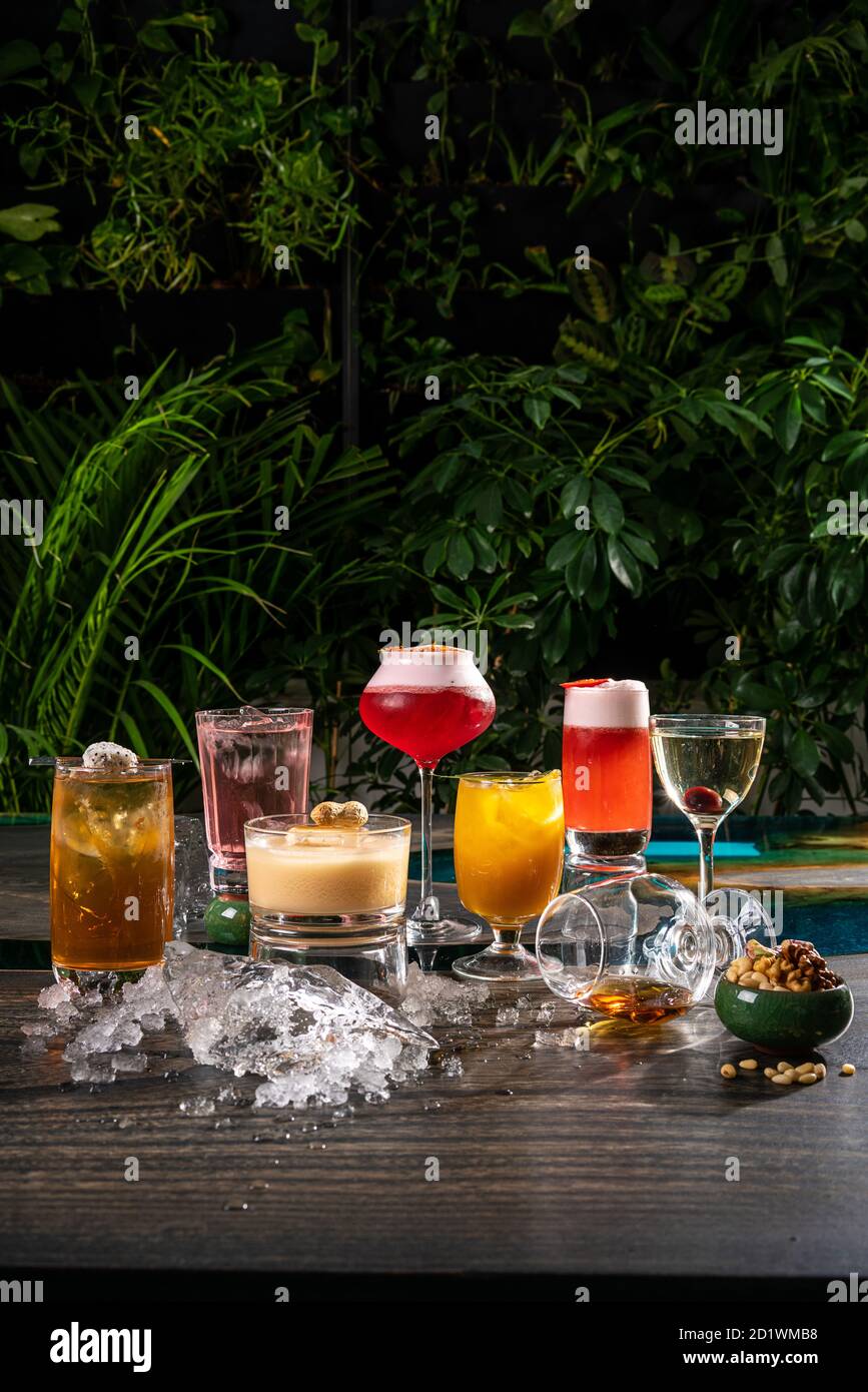 Cocktails alcoolisés multicolores avec agrumes dans des verres de différentes formes au bar. Banque D'Images