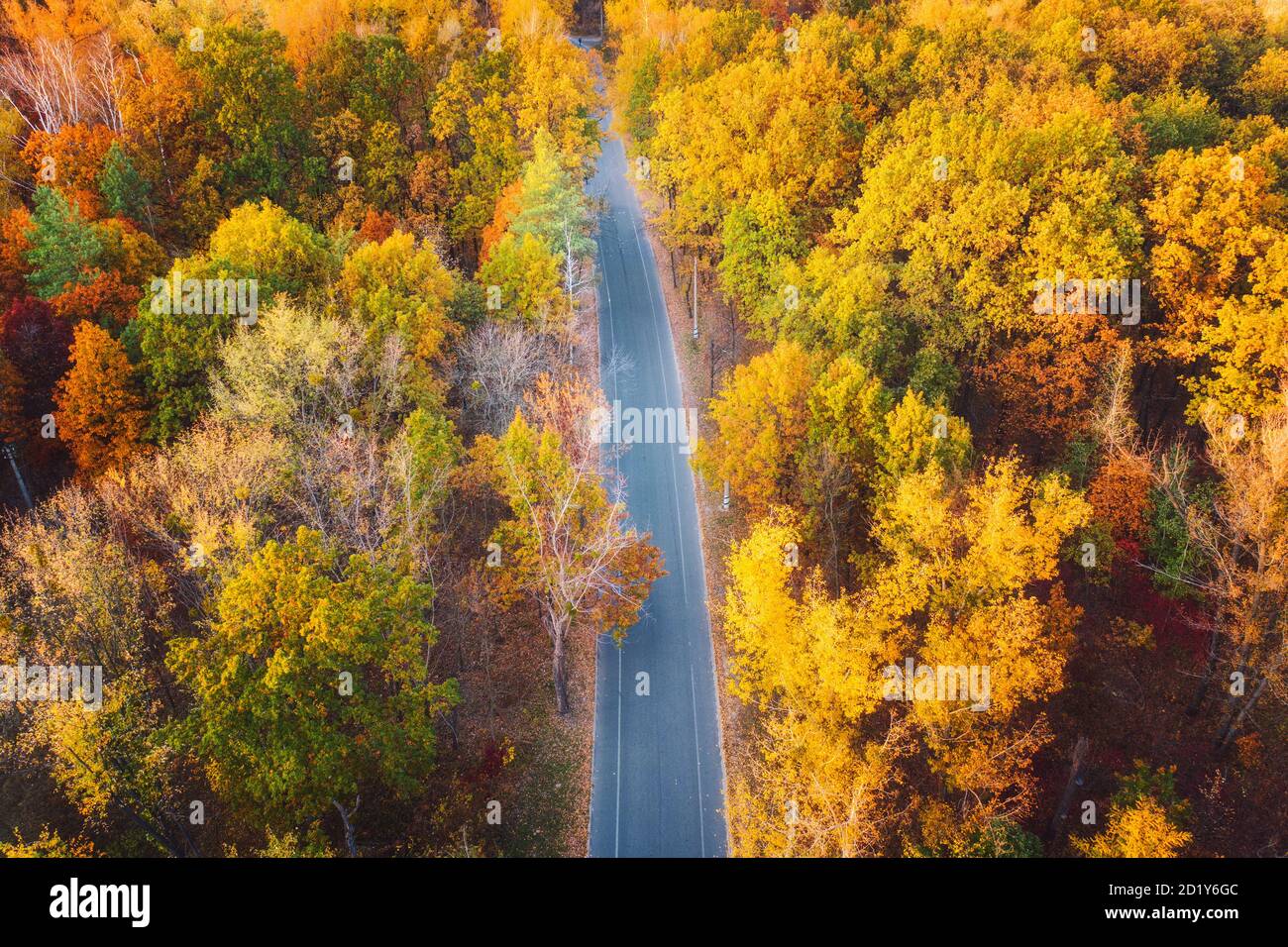 Vue aérienne de route en belle forêt d'automne au coucher du soleil. Banque D'Images
