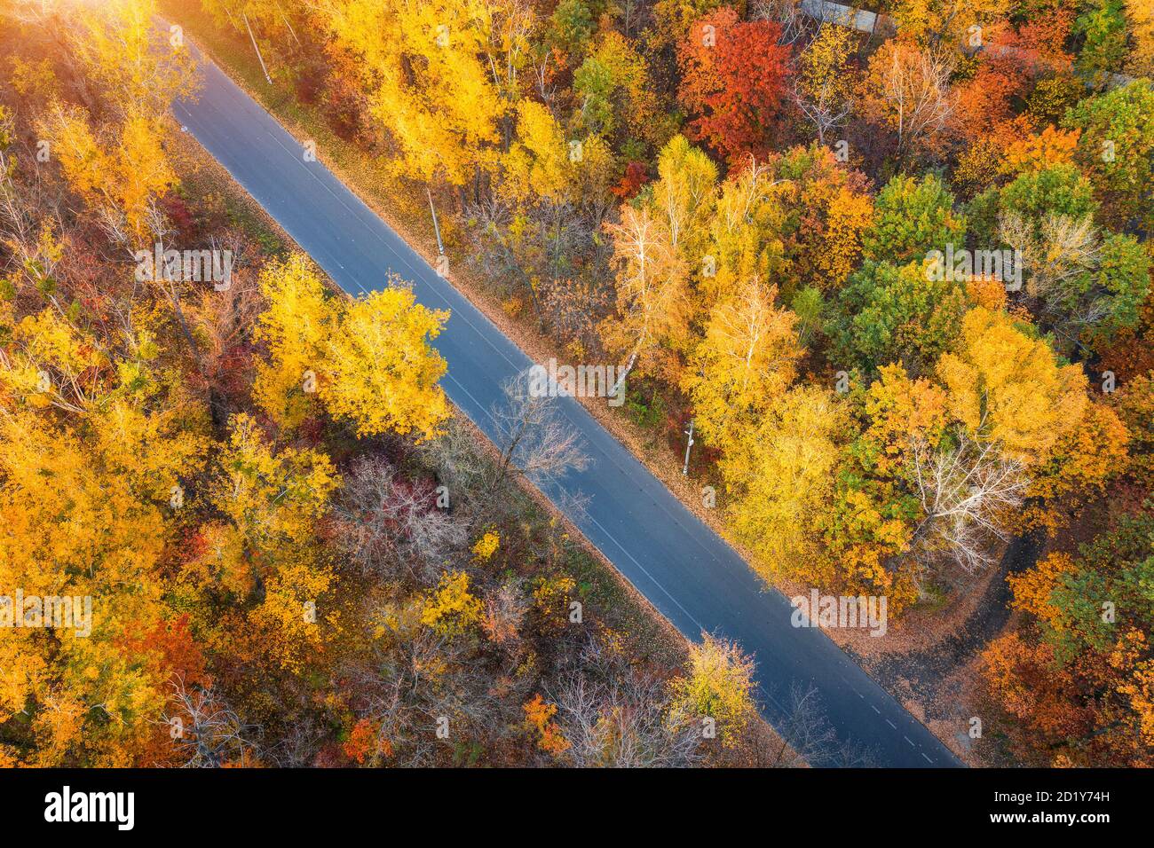Vue aérienne de route en belle forêt d'automne au coucher du soleil. Banque D'Images