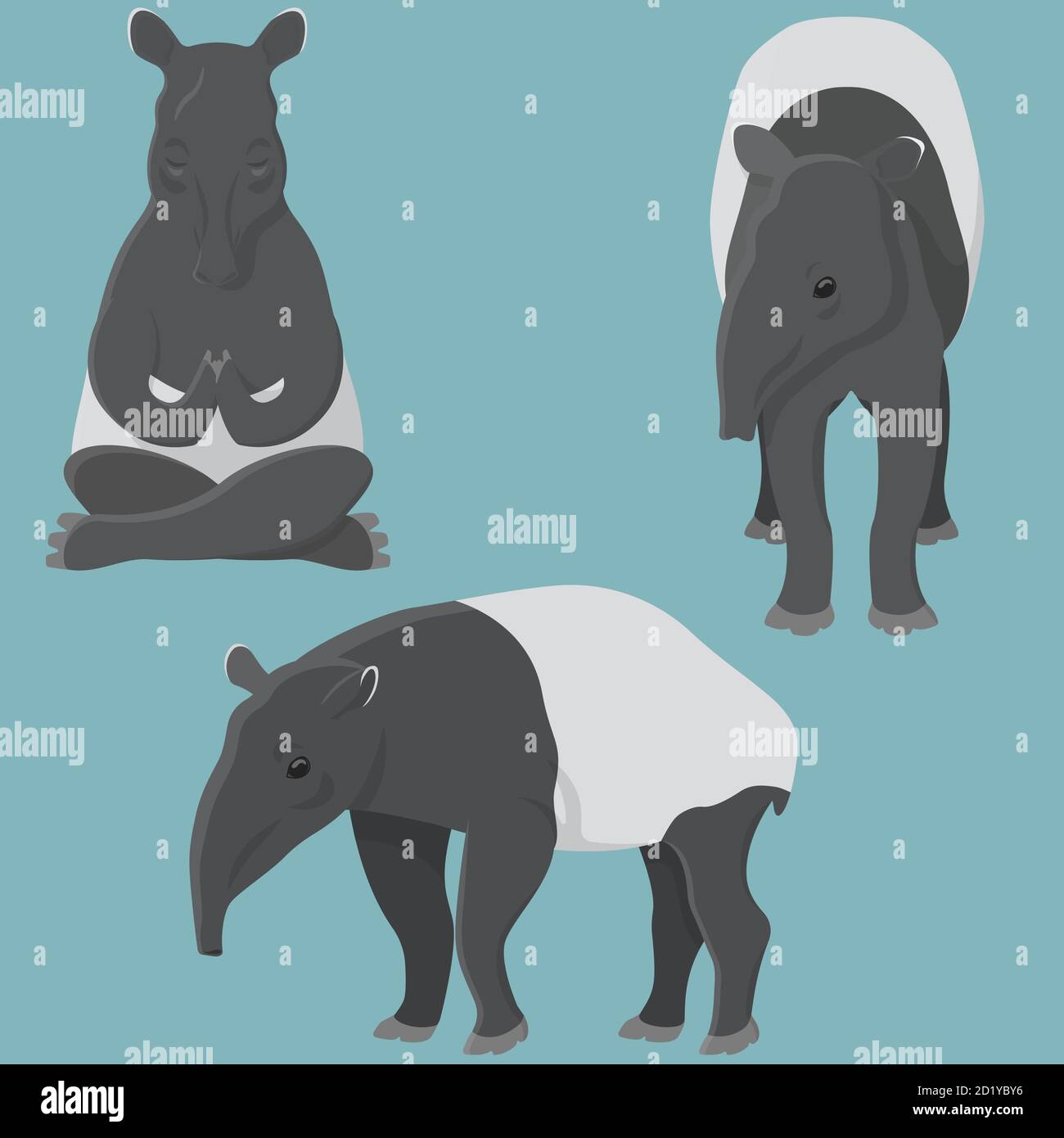 Tapir dans diverses poses. Animal inhabituel dans un style de dessin animé. Illustration de Vecteur Tapir dans diverses poses. Animal inhabituel dans un style de dessin animé. Illustration de Vecteur