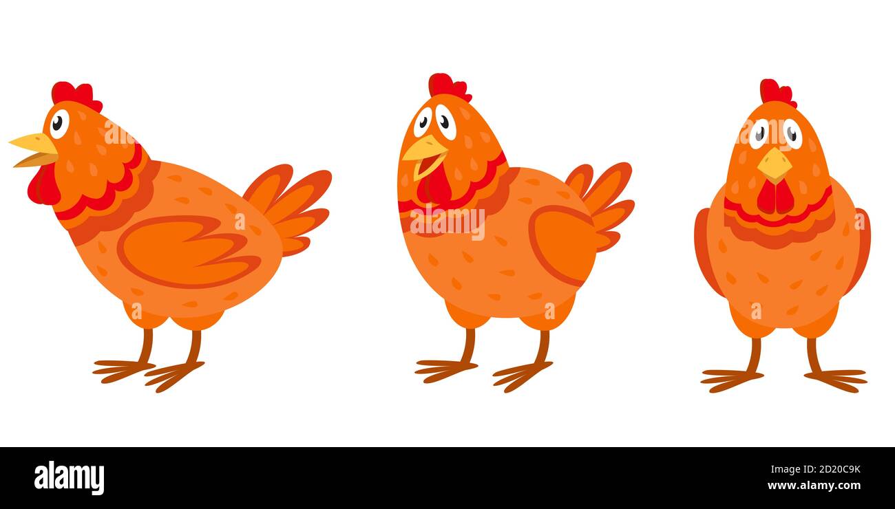 Poule dans différentes poses. Animal de ferme de style dessin animé. Illustration de Vecteur