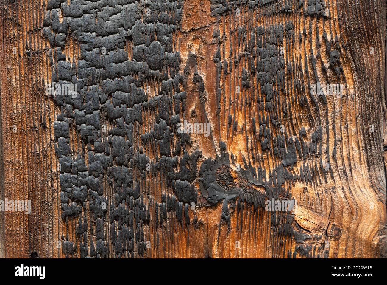 Grain de bois sur le bâtiment, Naoshima, Japon Banque D'Images