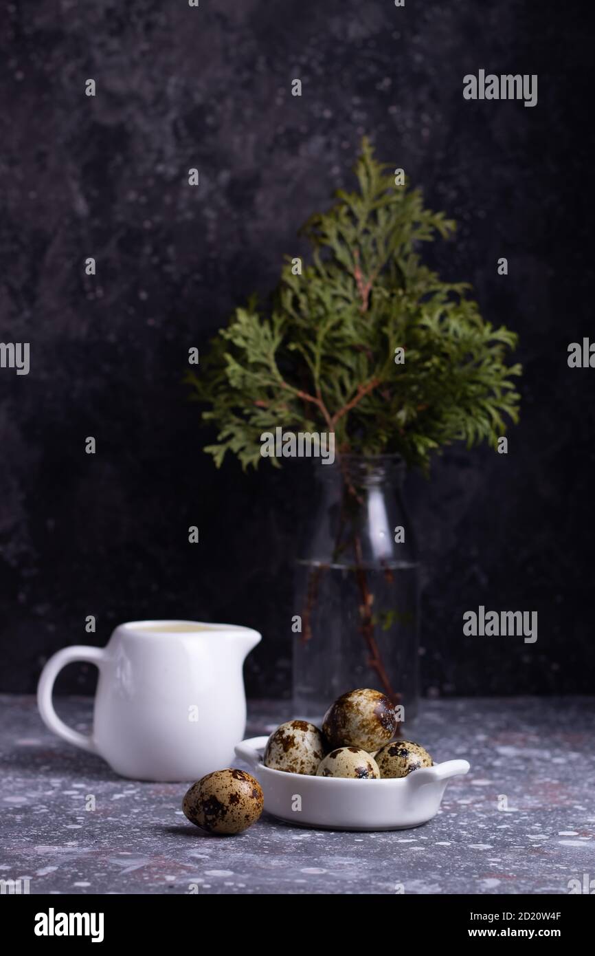 Durée de vie des œufs de caille dans une assiette blanche, pot à lait avec crème, branches d'aiguilles de pin dans une bouteille en verre sur fond gris Banque D'Images