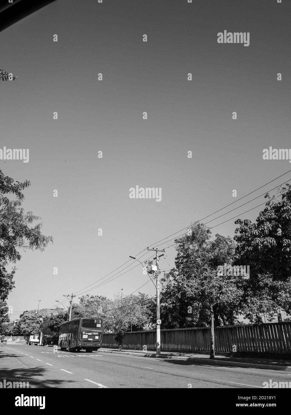 RIO DE JANEIRO, BRÉSIL - 01 septembre 2020 : photo du ciel et des arbres tropicaux de Rio de Janeiro. Banque D'Images