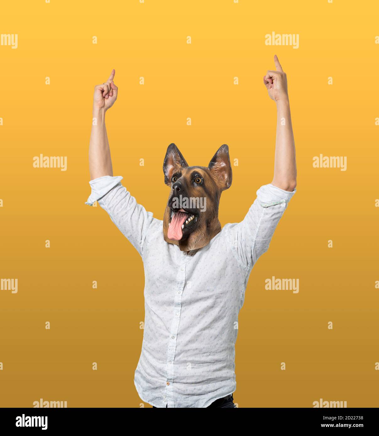 Homme portant un masque de chien avec les bras relevés vers le haut. Arrière-plan jaune isolé. Prise de vue moyenne. Banque D'Images