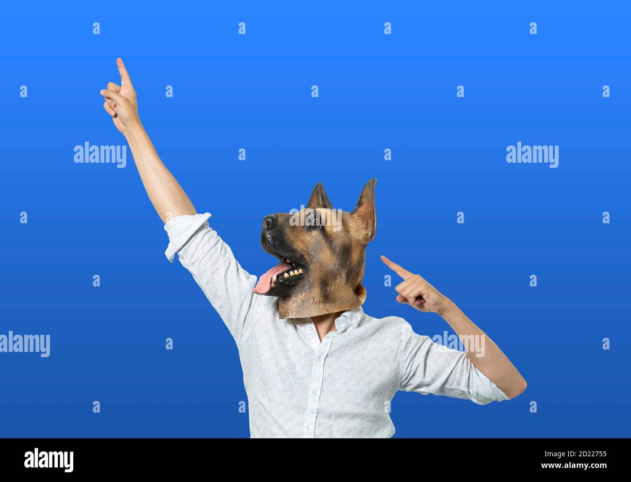 Homme portant un masque de chien pointant vers le haut dans la posture de célébration. Arrière-plan bleu isolé. Prise de vue moyenne. Banque D'Images