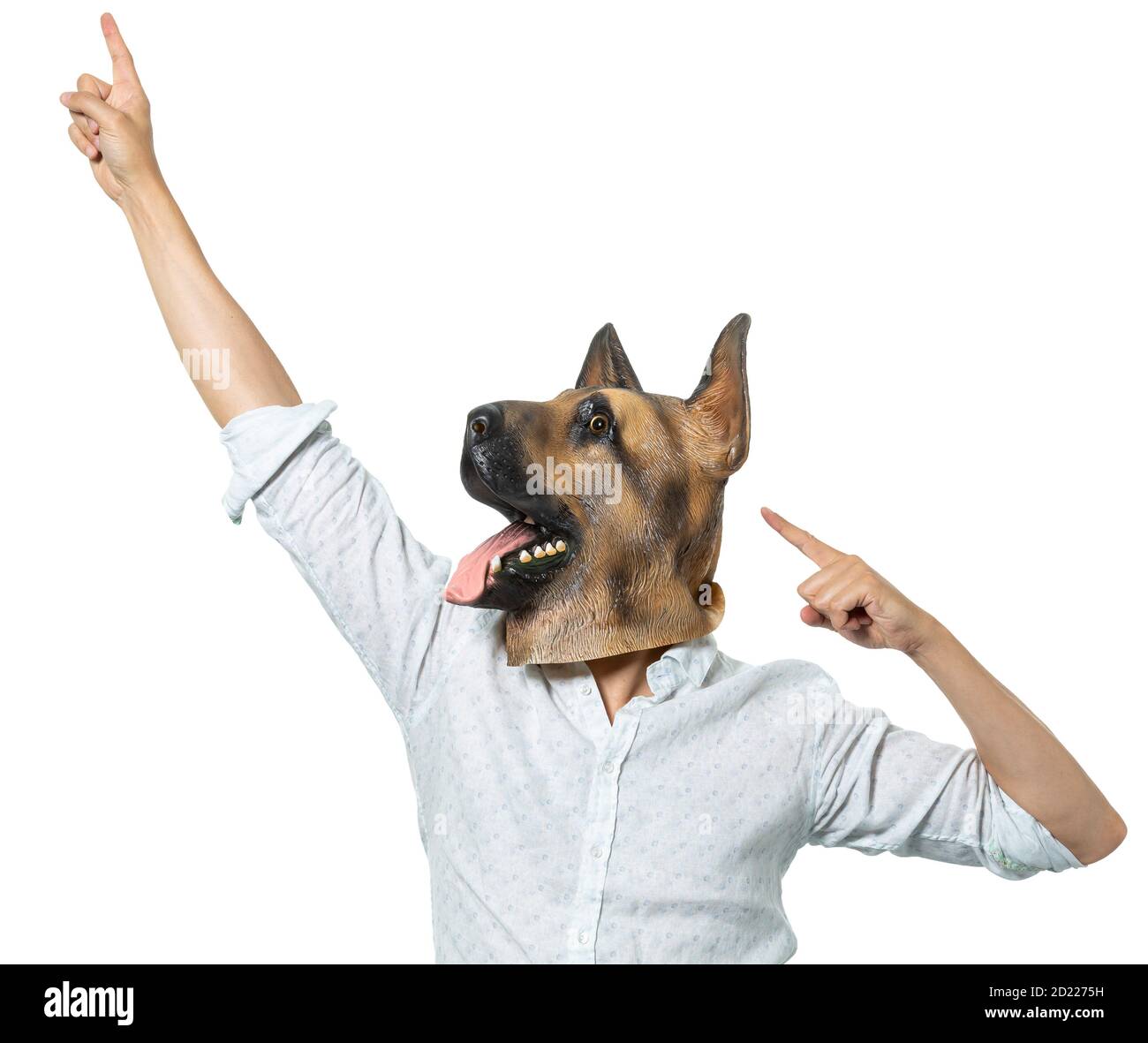 Homme portant un masque de chien pointant vers le haut dans la posture de célébration. Arrière-plan blanc isolé. Prise de vue moyenne. Banque D'Images