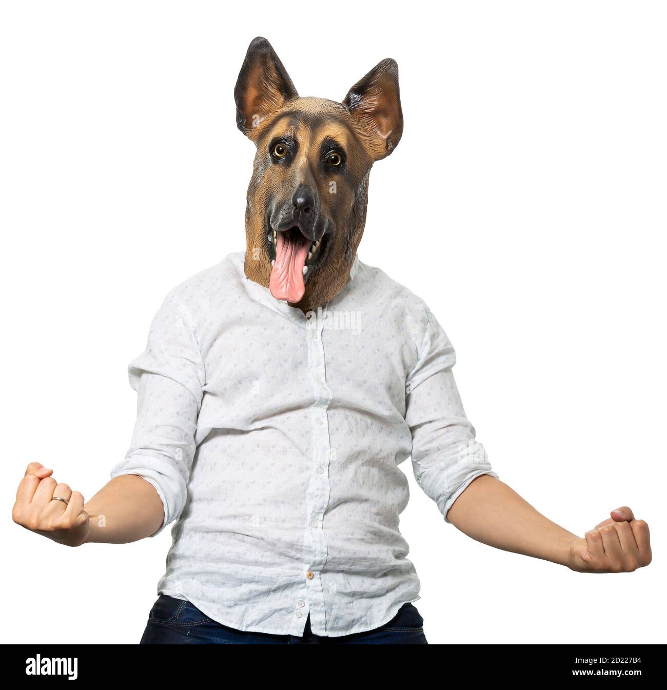 Homme portant un masque de chien montrant le succès célébration gestuelle main avec des poings serrés. Prise de vue moyenne. Arrière-plan blanc isolé. Banque D'Images