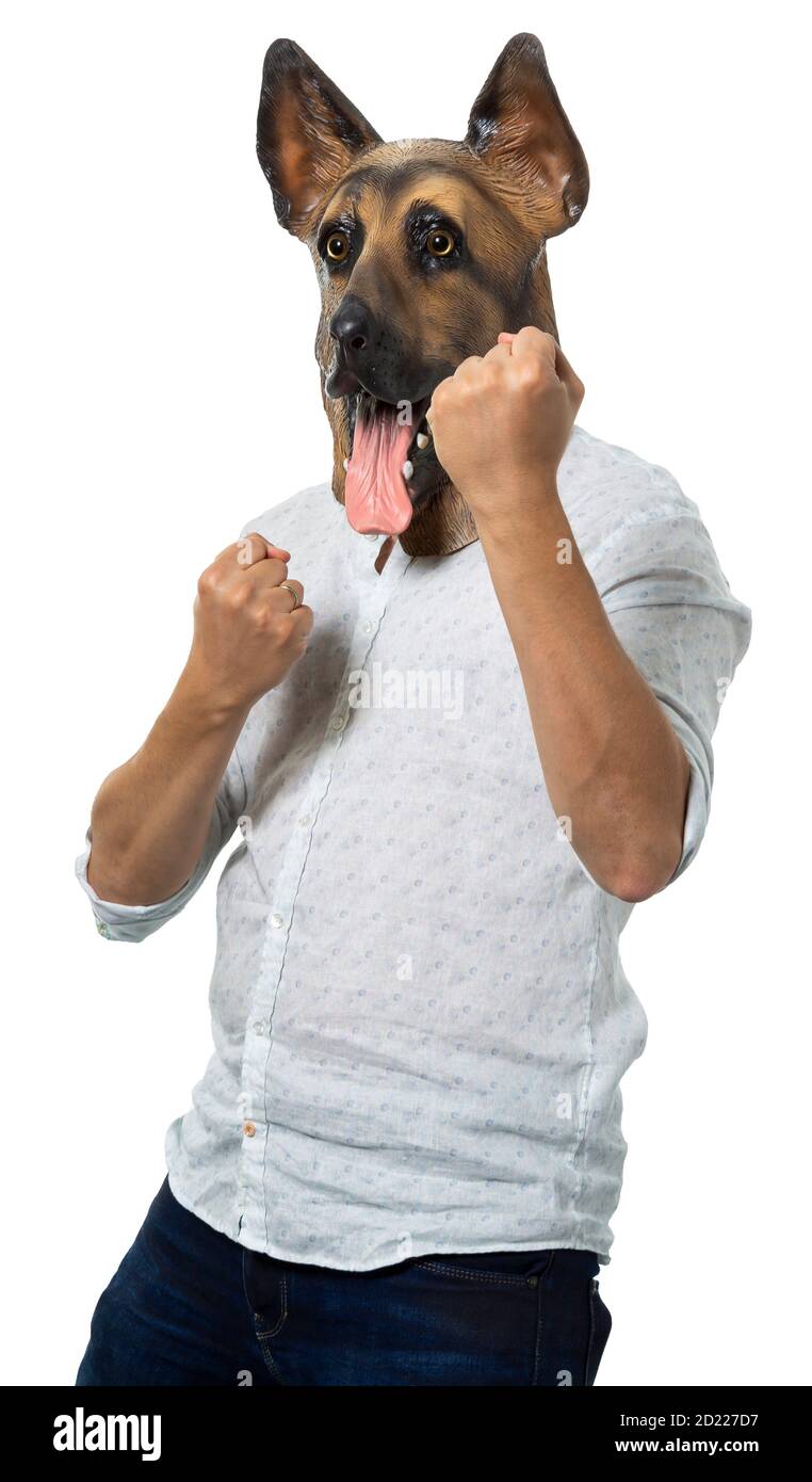 Homme portant un masque de chien en position de combat avec des poings serrés. Prise de vue moyenne. Arrière-plan blanc isolé. Banque D'Images