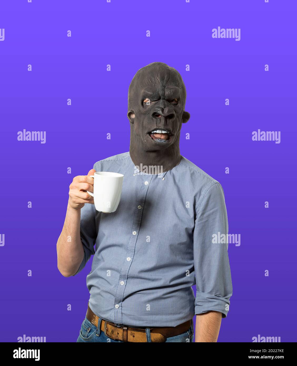Homme portant un masque de gorille tenant une tasse de café sur fond bleu isolé. Prise de vue moyenne. Banque D'Images