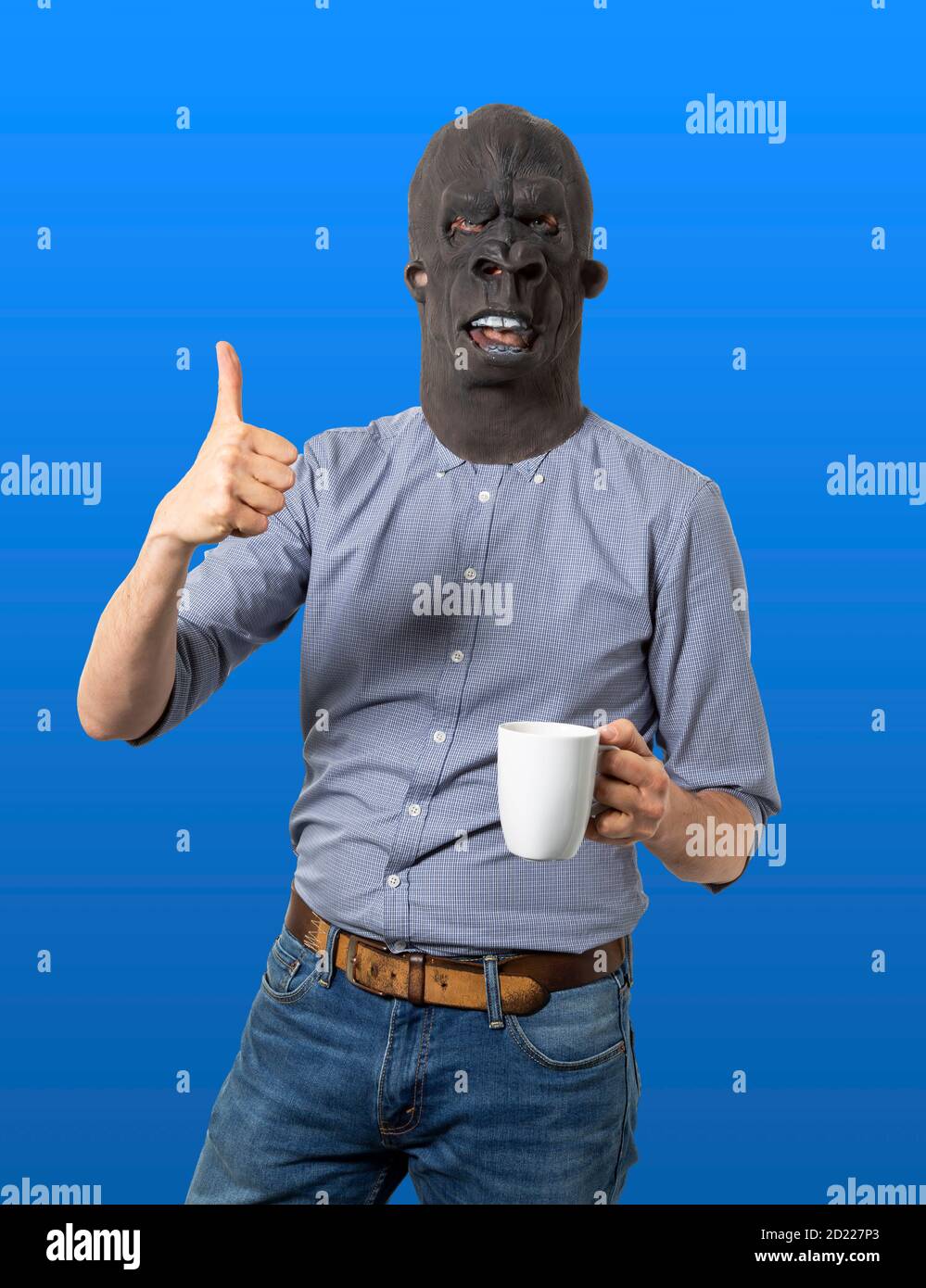 Homme dans le masque de gorille donnant les pouces vers le haut et tenant la tasse de café. Arrière-plan bleu isolé. Prise de vue moyenne. Banque D'Images