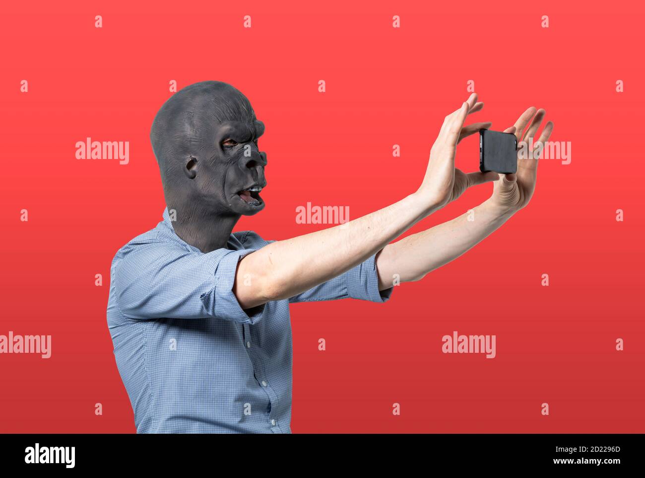 Homme dans le masque de gorille prenant selfie. Découpe isolée sur fond rouge. Prise de vue moyenne. Vue latérale. Banque D'Images