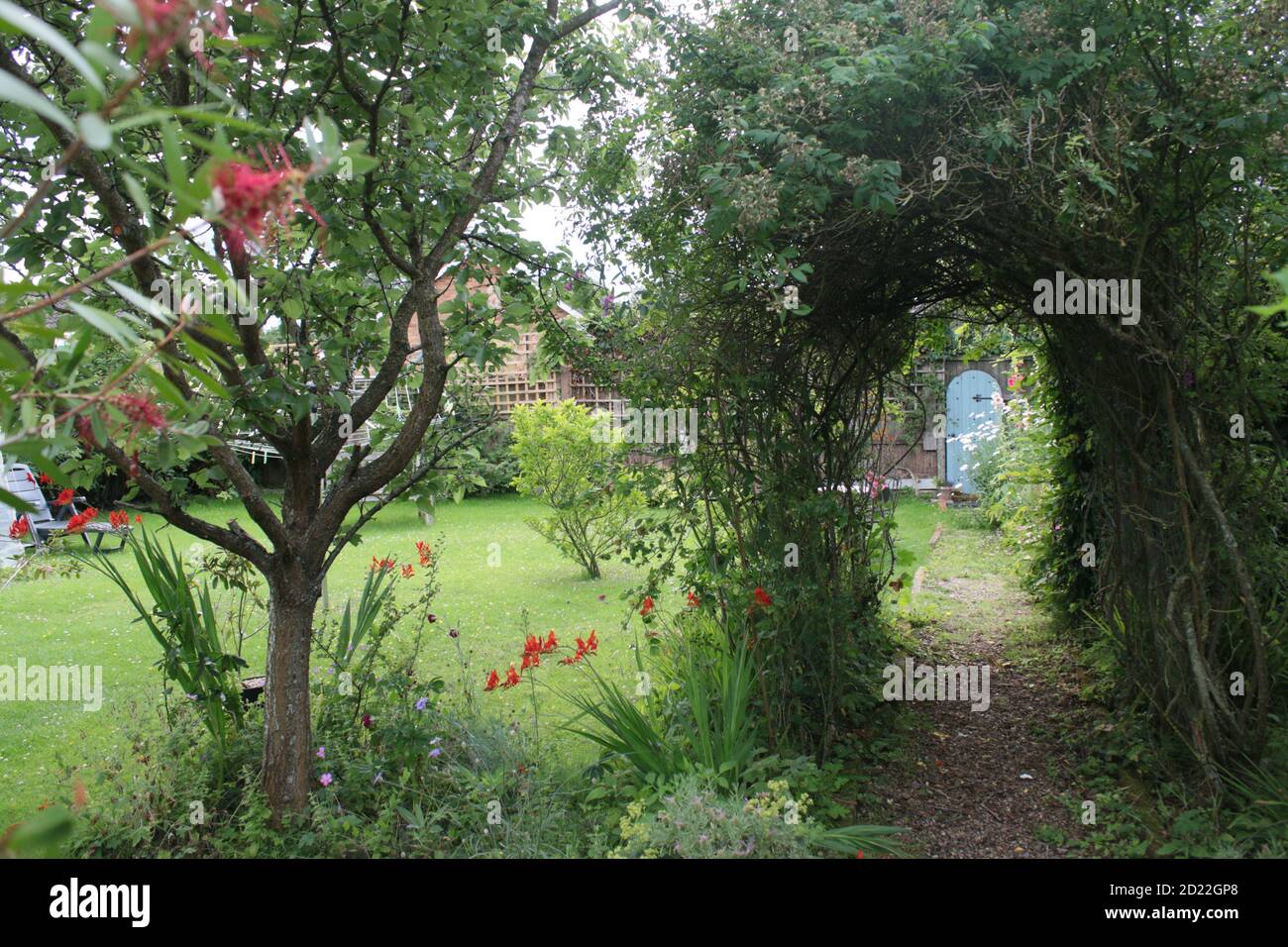Vue sur le paysage en été jardin de campagne anglais avec poire espalier arbre aux fruits lavande rose arche buisson fleurs herbe pelouse et plantes et porte secrète Banque D'Images
