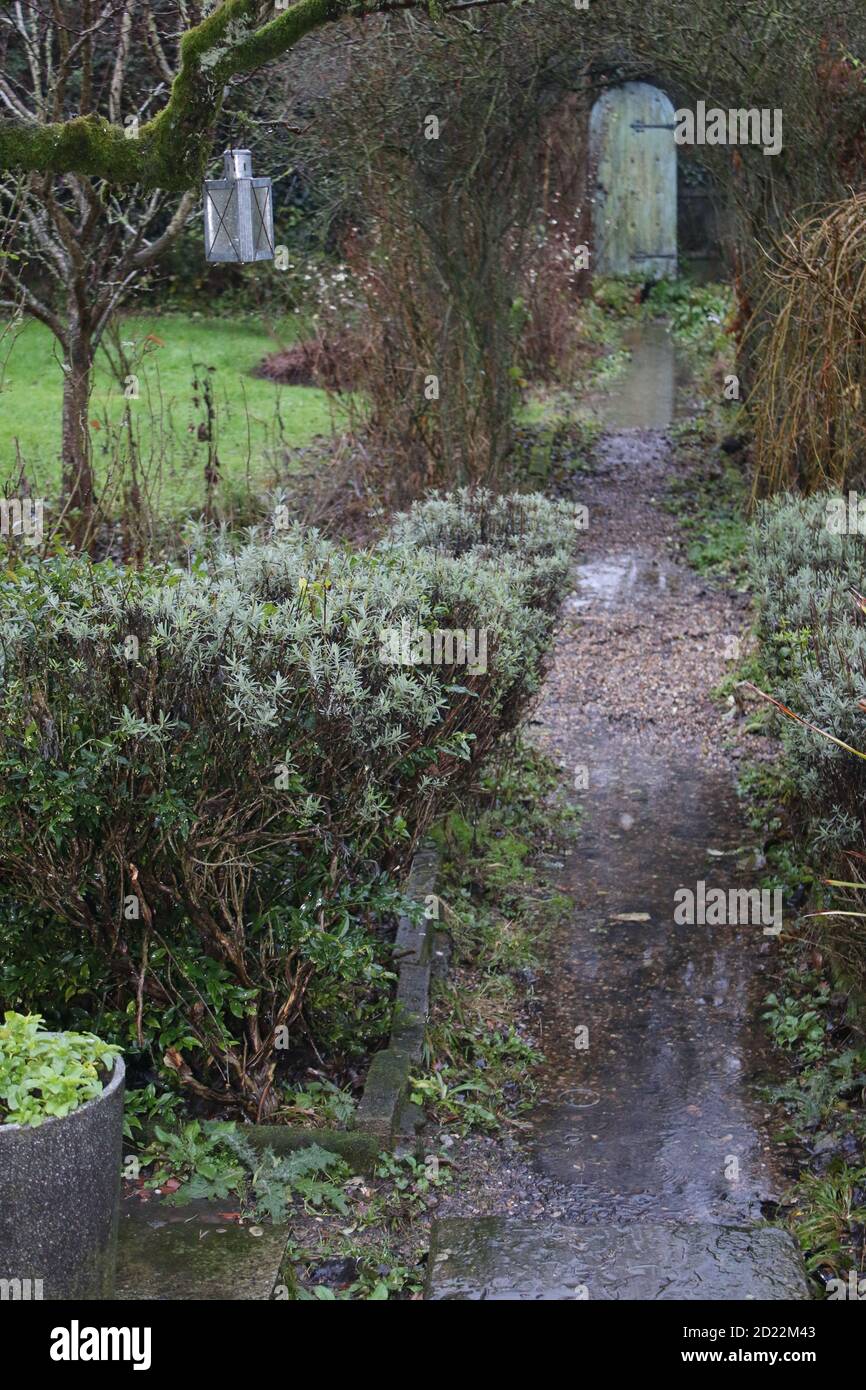 Paysage d'inondation dans l'allotissement de jardin de pays anglais, les bassins d'inondation de fortes précipitations orageux eau de temps sur le chemin de gravier et les pots de plantes de pelouse Banque D'Images