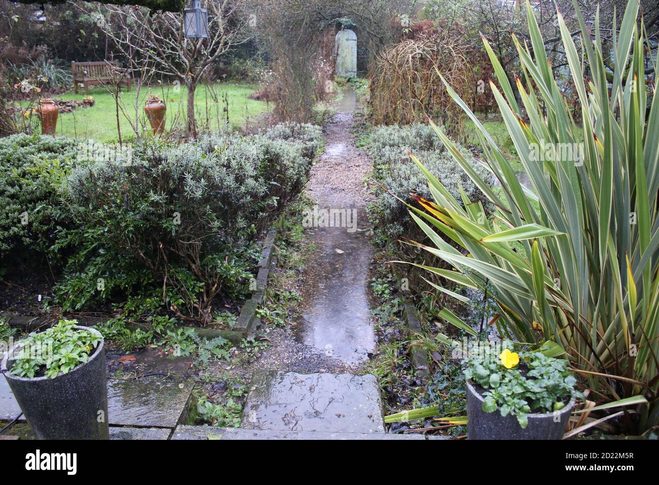 Paysage d'inondation dans l'allotissement de jardin de pays anglais, les bassins d'inondation de fortes précipitations orageux eau de temps sur le chemin de gravier et les pots de plantes de pelouse Banque D'Images