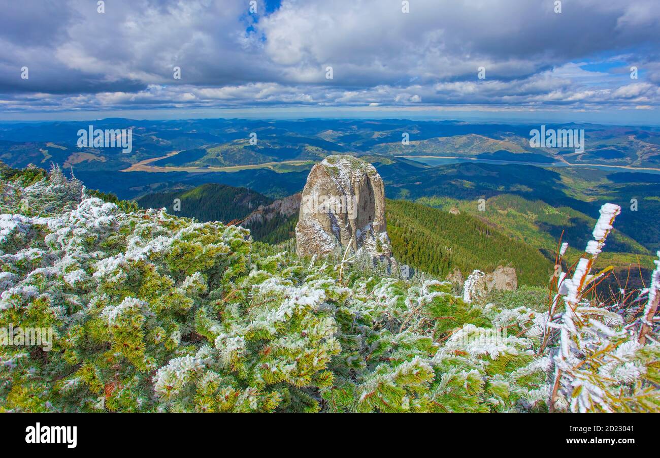 biog roc et la forêt de genévriers. Montagne Ceahlau, Roumanie Banque D'Images
