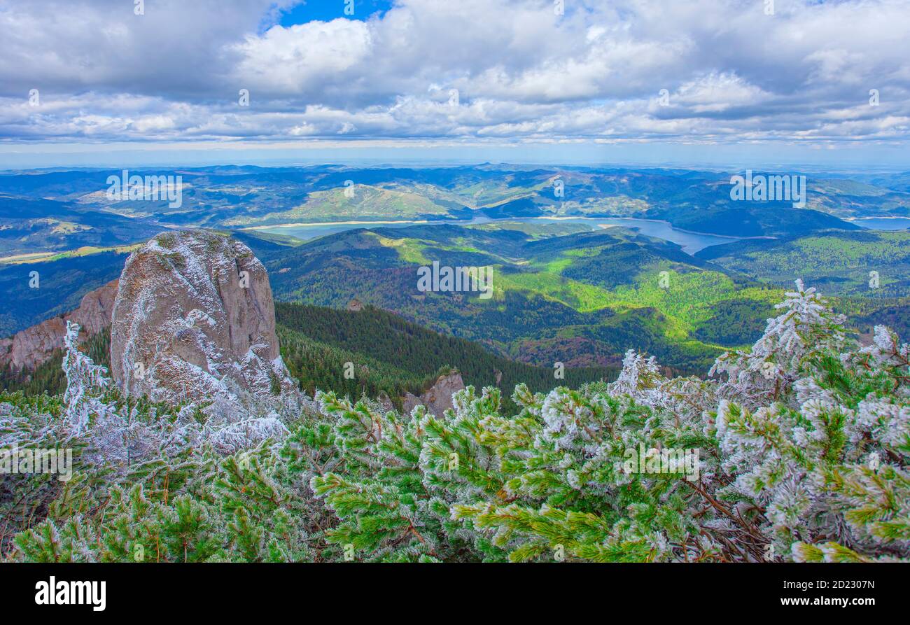biog roc et la forêt de genévriers. Montagne Ceahlau, Roumanie Banque D'Images