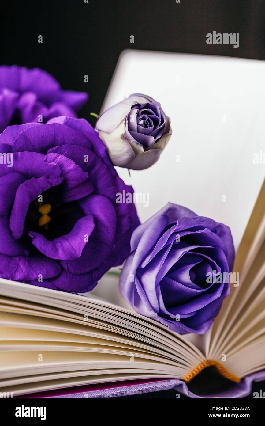 Magnifique eustoma violet ou lisianthus ou fleurs gentiane de prairie et livre sur fond sombre, espace de copie Banque D'Images