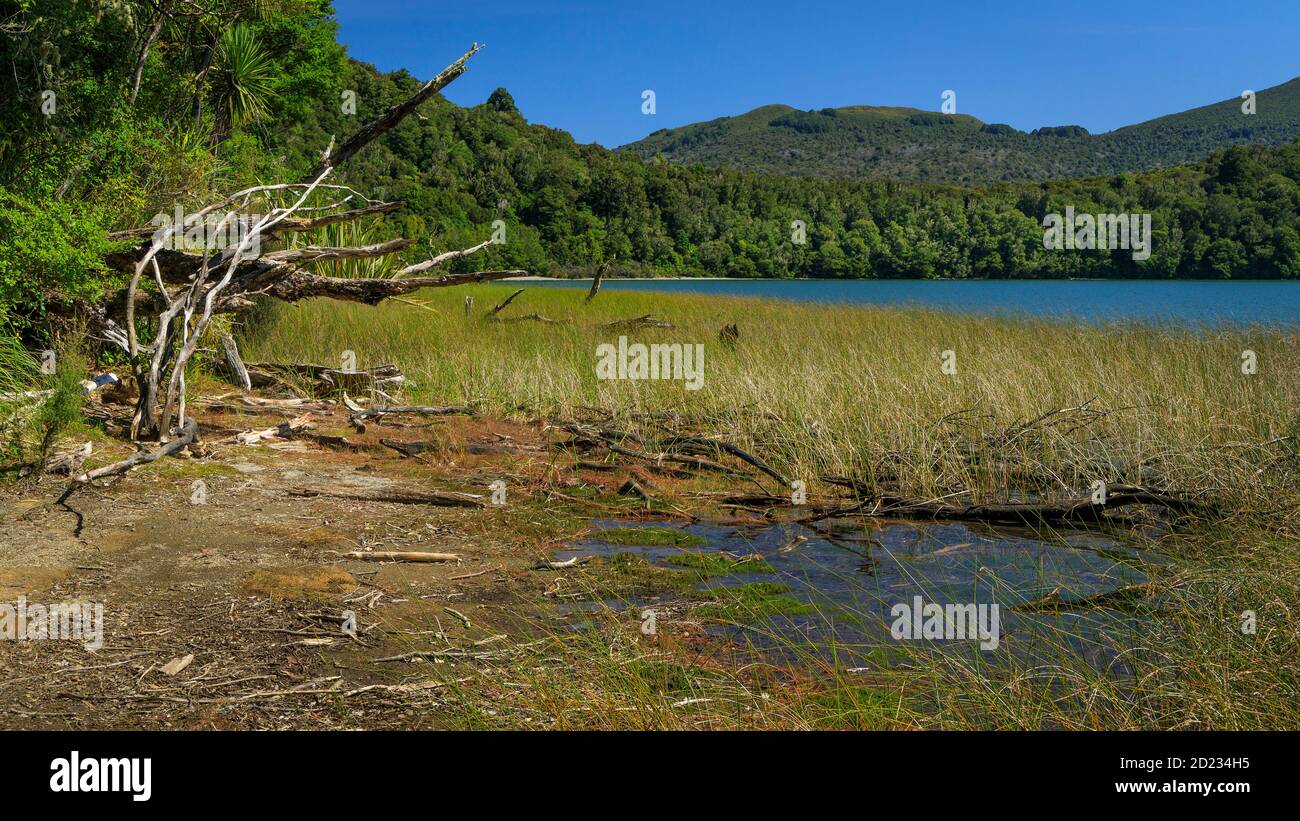 Lac Rotopounamu dans la réserve pittoresque de Pihanga, parc national de Tongariro dans le centre de l'île du Nord de Nouvelle-Zélande. Un lac cratère d'environ 10,000 ans. Banque D'Images