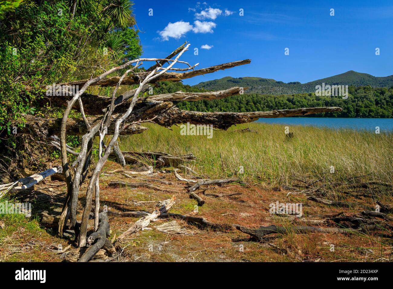 Lac Rotopounamu dans la réserve pittoresque de Pihanga, parc national de Tongariro dans le centre de l'île du Nord de Nouvelle-Zélande. Un lac cratère d'environ 10,000 ans. Banque D'Images