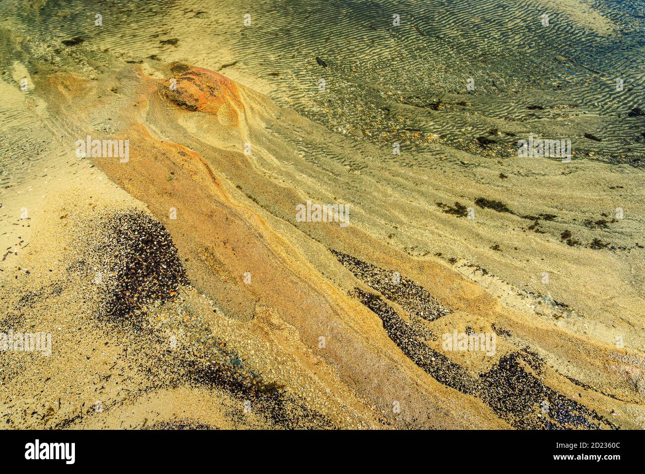 Texture et couleur dans les sables du lac Rotopounamu, dans la réserve pittoresque de Pihanga, parc national de Tongariro, dans le centre de l'île du Nord en Nouvelle-Zélande. Banque D'Images