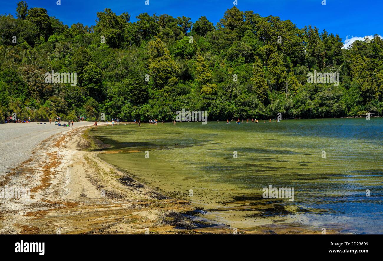 Lac Rotopounamu dans la réserve pittoresque de Pihanga, parc national de Tongariro dans le centre de l'île du Nord de Nouvelle-Zélande. Un lac cratère d'environ 10,000 ans. Banque D'Images