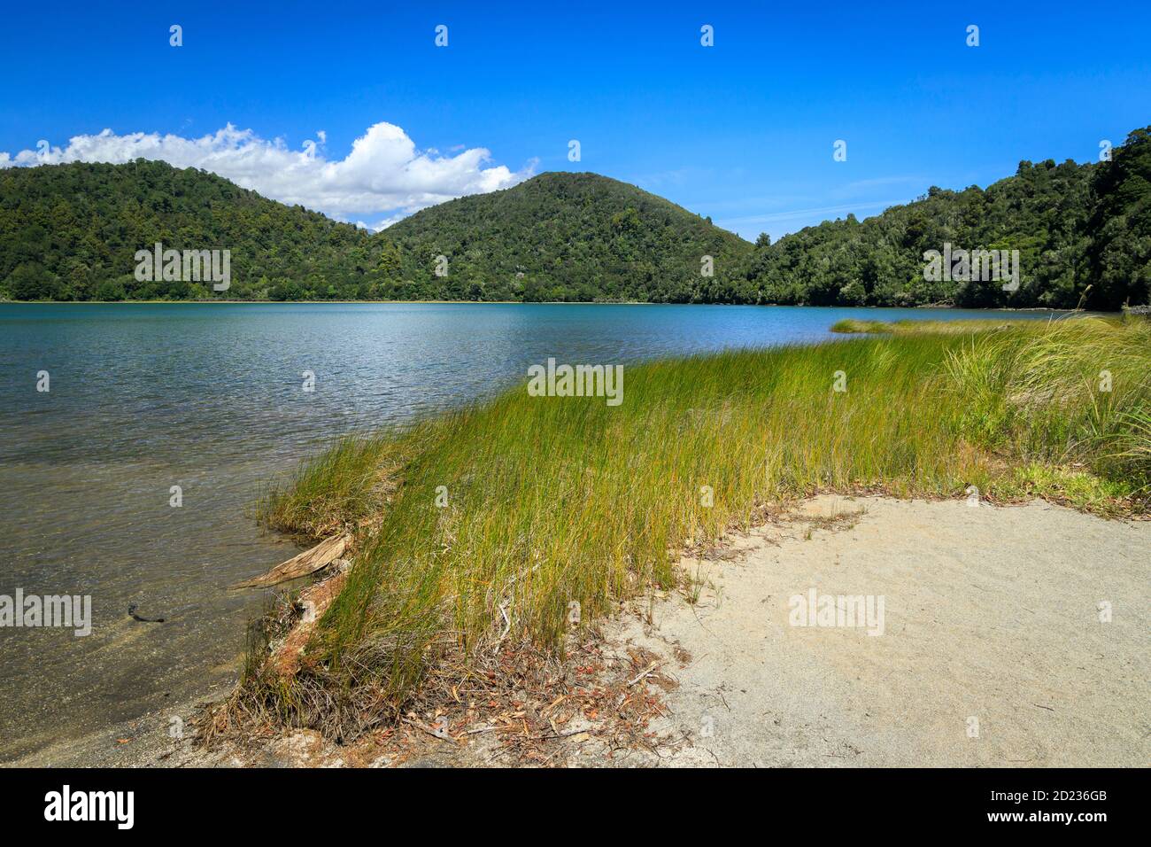 Lac Rotopounamu dans la réserve pittoresque de Pihanga, parc national de Tongariro dans le centre de l'île du Nord de Nouvelle-Zélande. Un lac cratère d'environ 10,000 ans. Banque D'Images