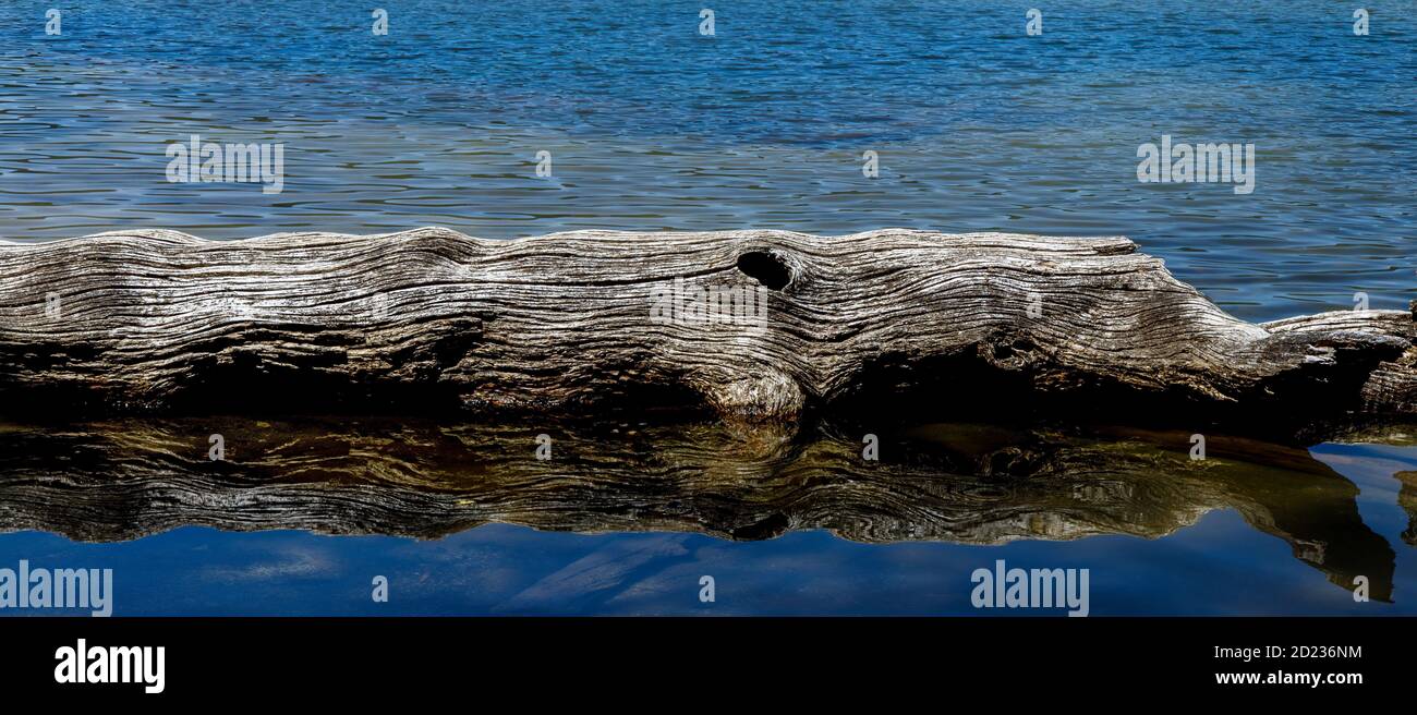 Lac Rotopounamu dans la réserve pittoresque de Pihanga, parc national de Tongariro dans le centre de l'île du Nord de Nouvelle-Zélande. Un lac cratère d'environ 10,000 ans. Banque D'Images
