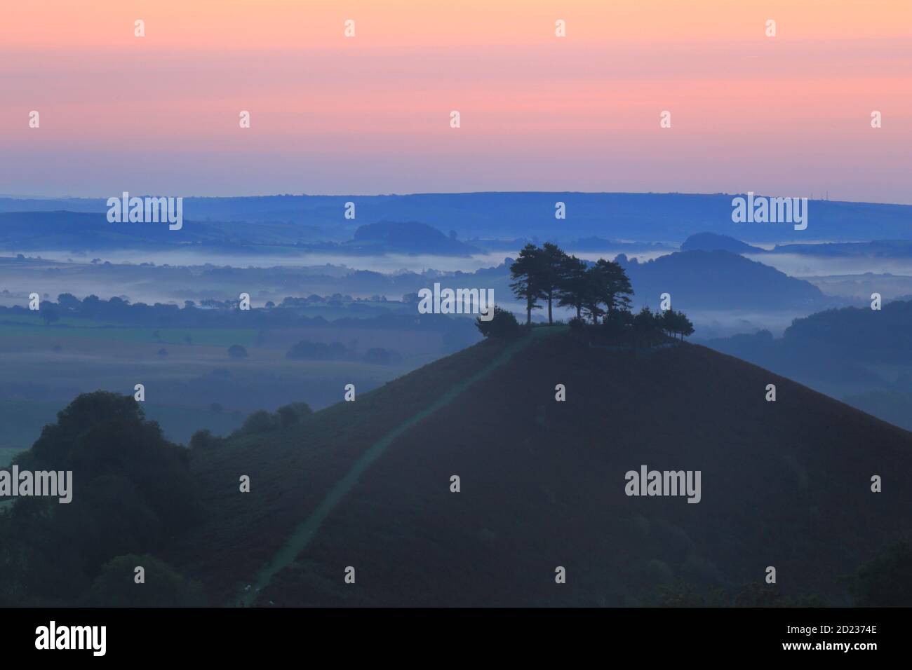 Colmer's Hill à Dorset, Royaume-Uni à l'aube Banque D'Images