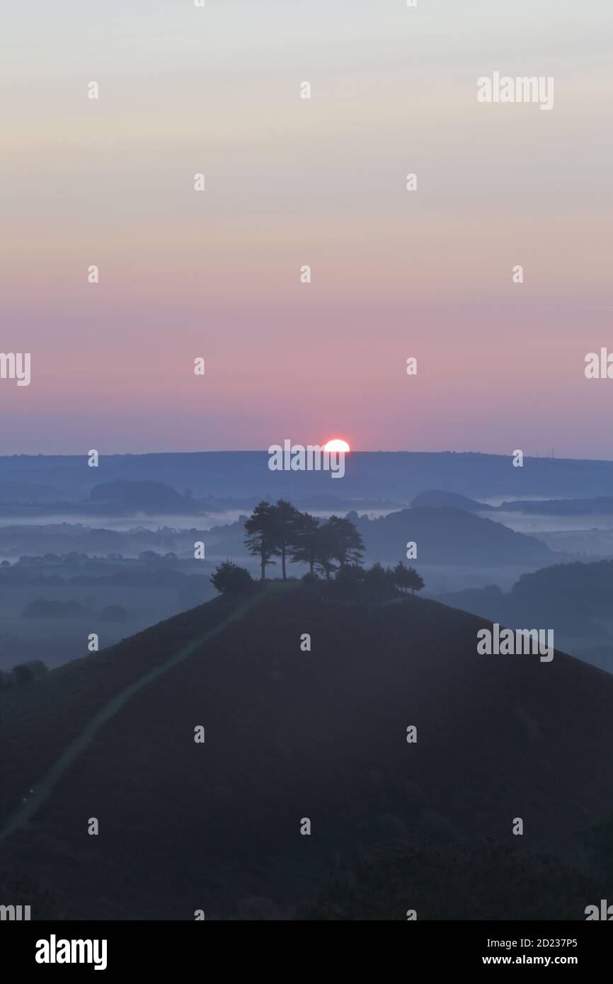 Colmer's Hill à Dorset, Royaume-Uni à l'aube Banque D'Images