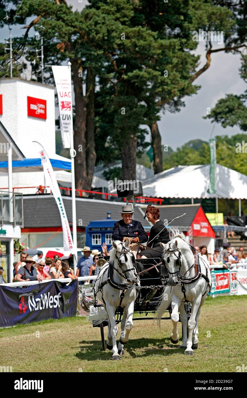 Royal Welsh Show Llanelwedd, 21 juillet 2014. L'ambassadrice Laura Thomas, du comté de Radnorshire, fait le tour de l'anneau principal à Banque D'Images