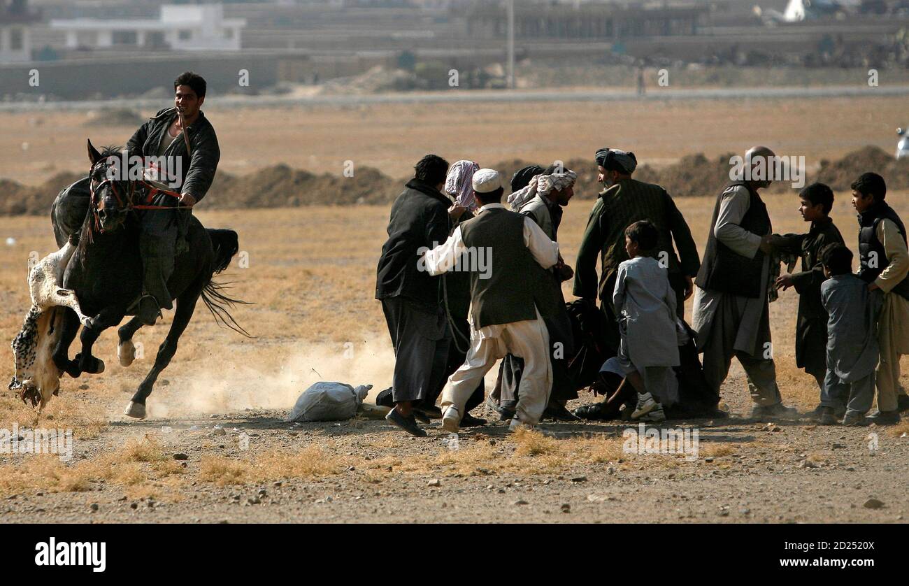Afghan horsemen drags a headless calf along during a game of buzhkashi on  the outskirts of Kabul November 6,  Afghan national sport of  buzhkashi is played between two teams of horsemen