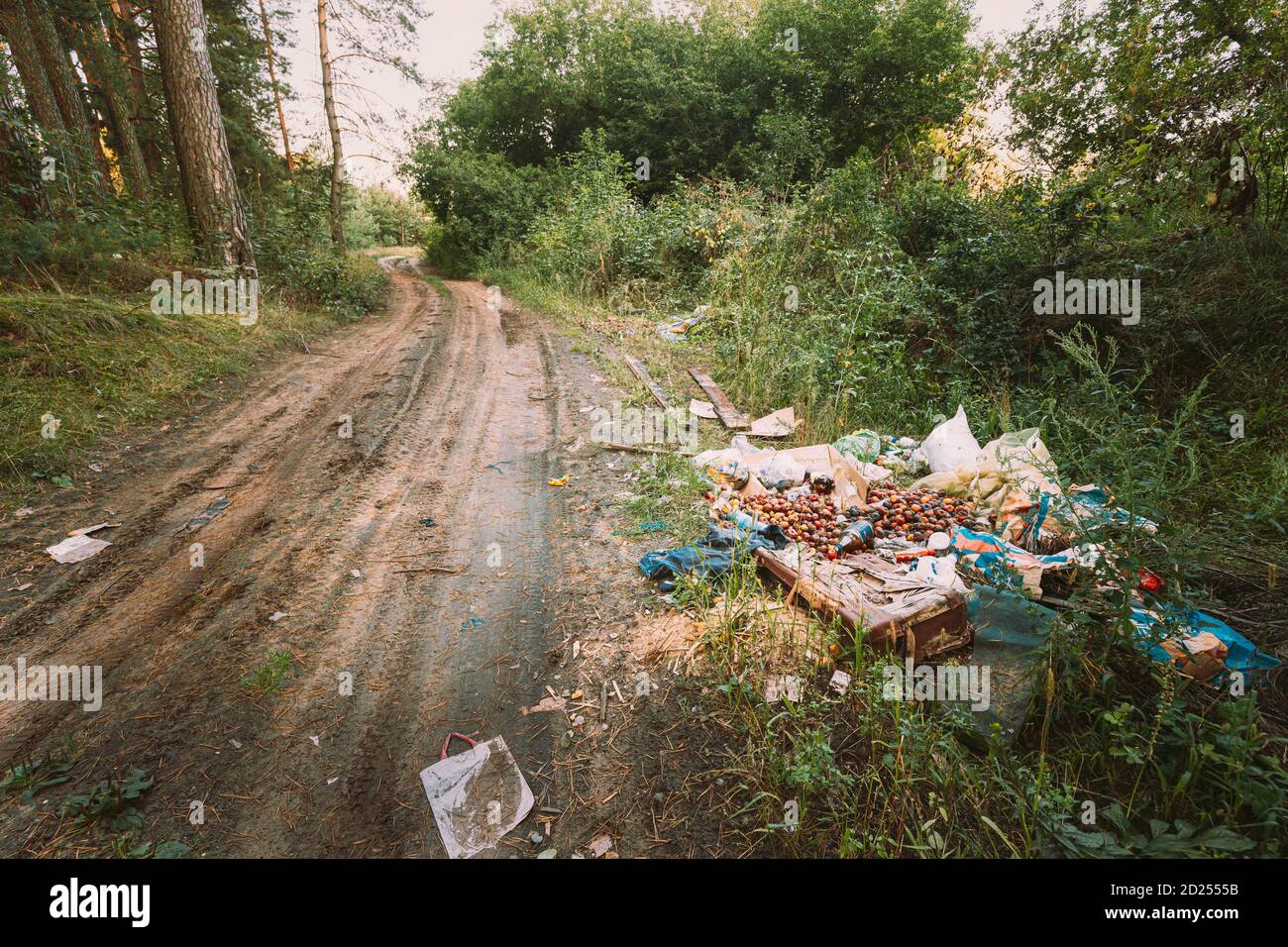 Pile de déchets laissés par les gens dans la forêt Banque D'Images