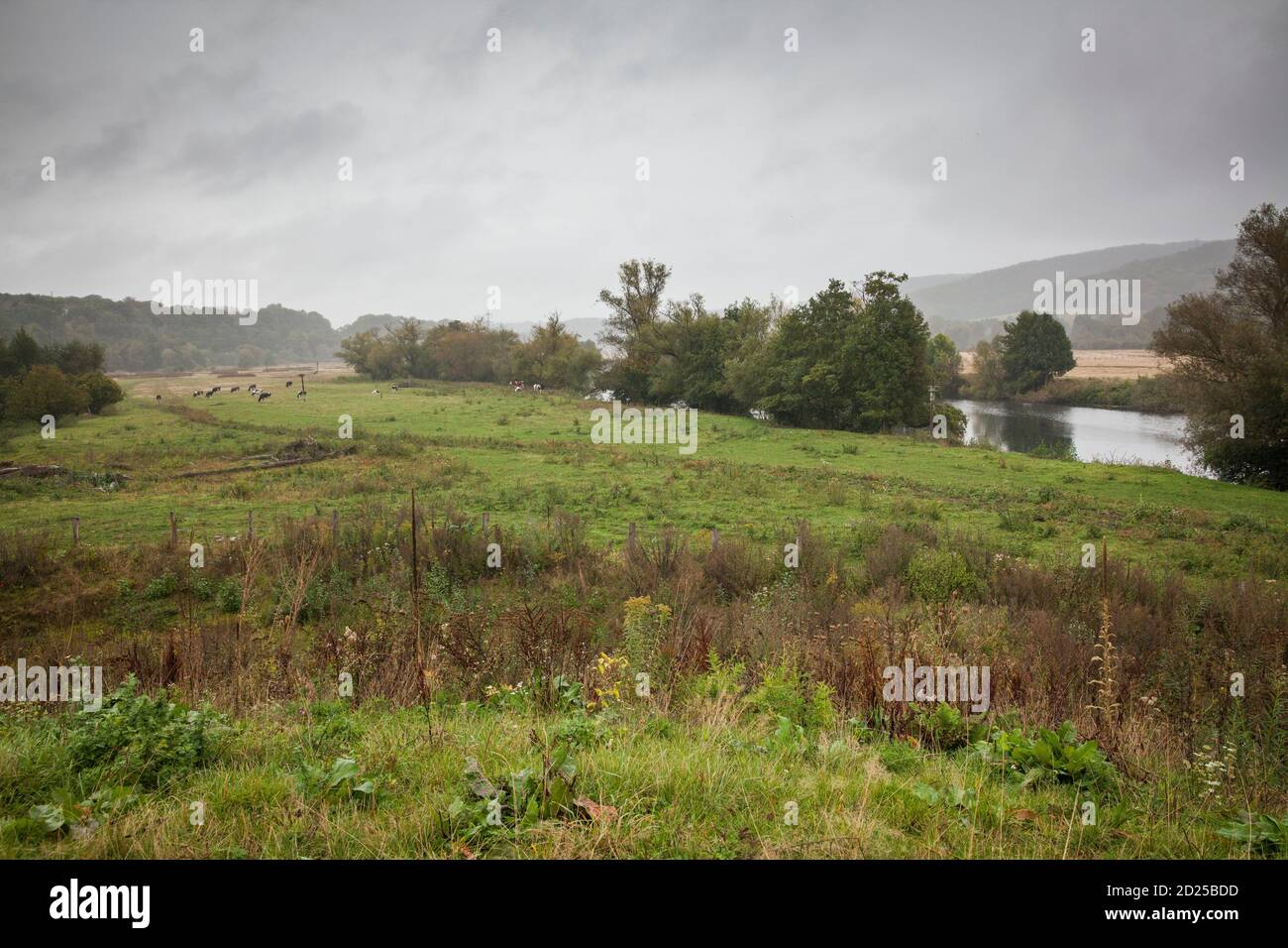 La Ruhr près de Wetter-Wengern, jour de pluie, région de la Ruhr, Rhénanie-du-Nord-Westphalie, Allemagne. Die Ruhr BEI Wetter-Wengern, Regen, Ruhrgebiet, Nordrhein- Banque D'Images