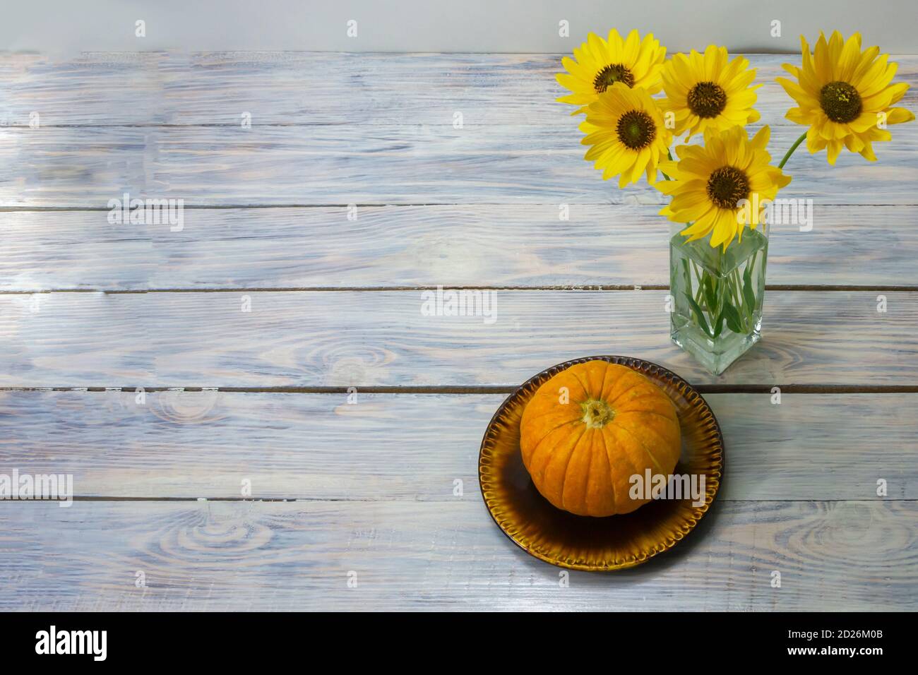Fleurs jaunes dans un vase en verre et citrouille sur une assiette. Arrière-plan en bois blanc, espace de copie, mise au point sélective. Banque D'Images