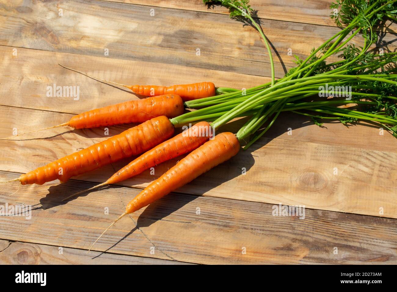 Carotte d'orange mûre avec dessus. Récolte de l'agriculteur sur une table en bois. Racine de carottes bio fraîche du jardin. Banque D'Images