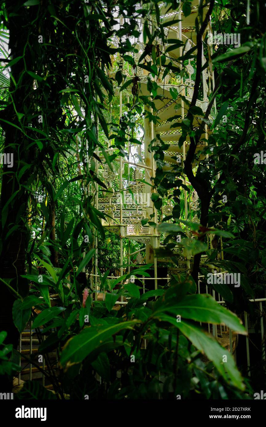 Escalier en colimaçon et plantes tropicales au Palm House dans les jardins botaniques royaux de Kew à Richmond upon Thames, Londres, Royaume-Uni. Banque D'Images