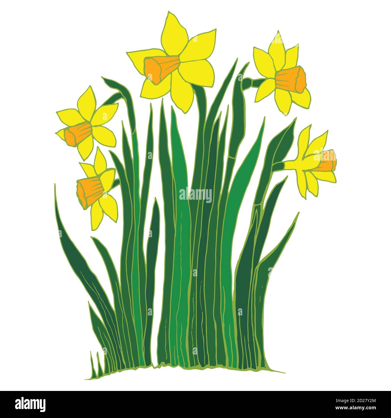Collection de fleurs des narcisses Illustration de Vecteur