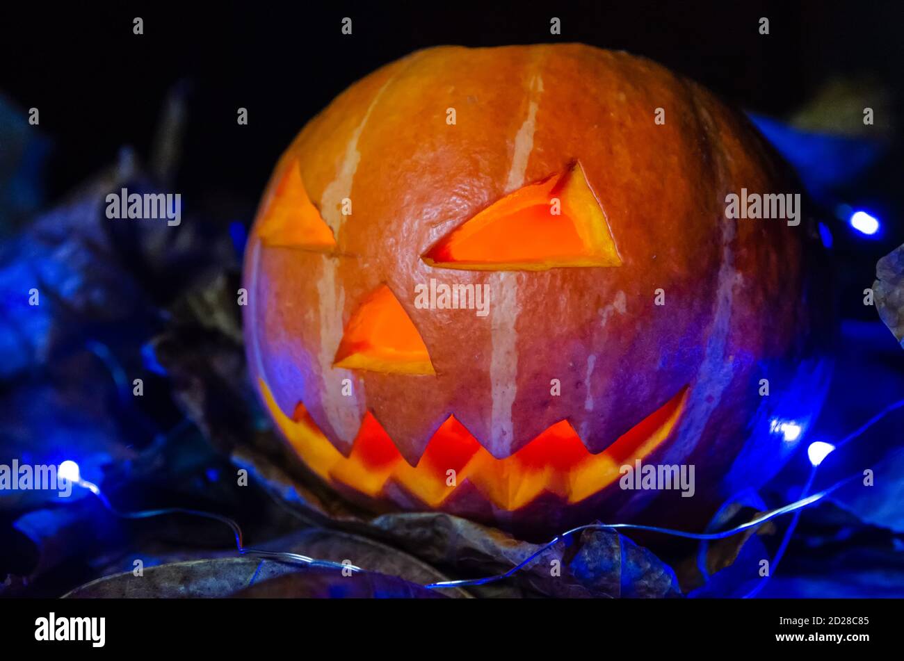 Citrouille éclatante dans le sombre gros plan. Concept de l'Halloween, fond. Banque D'Images