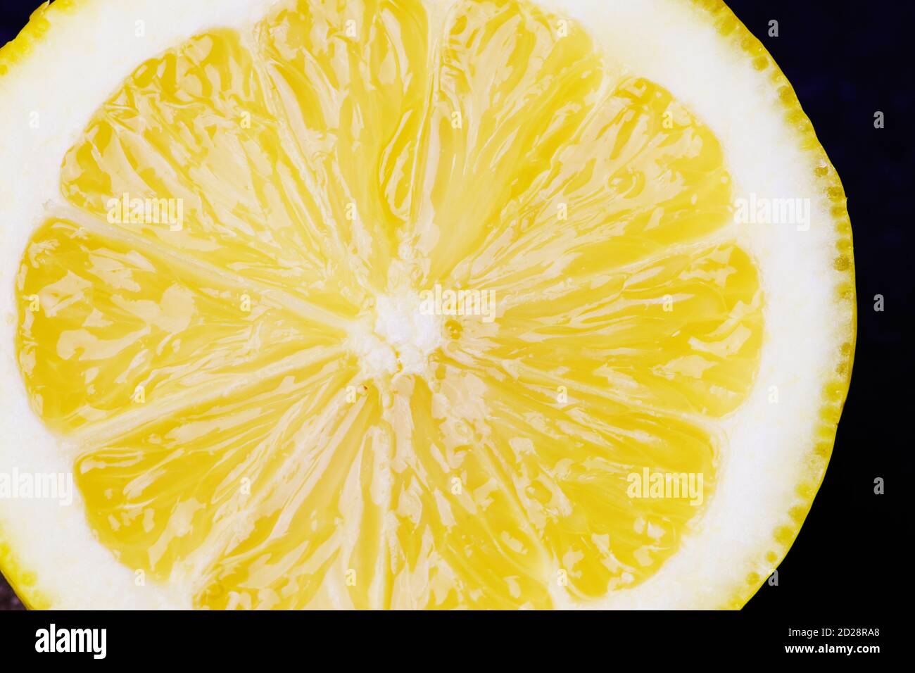 couper la tranche de citron sur fond noir, photo macro couleur Banque D'Images