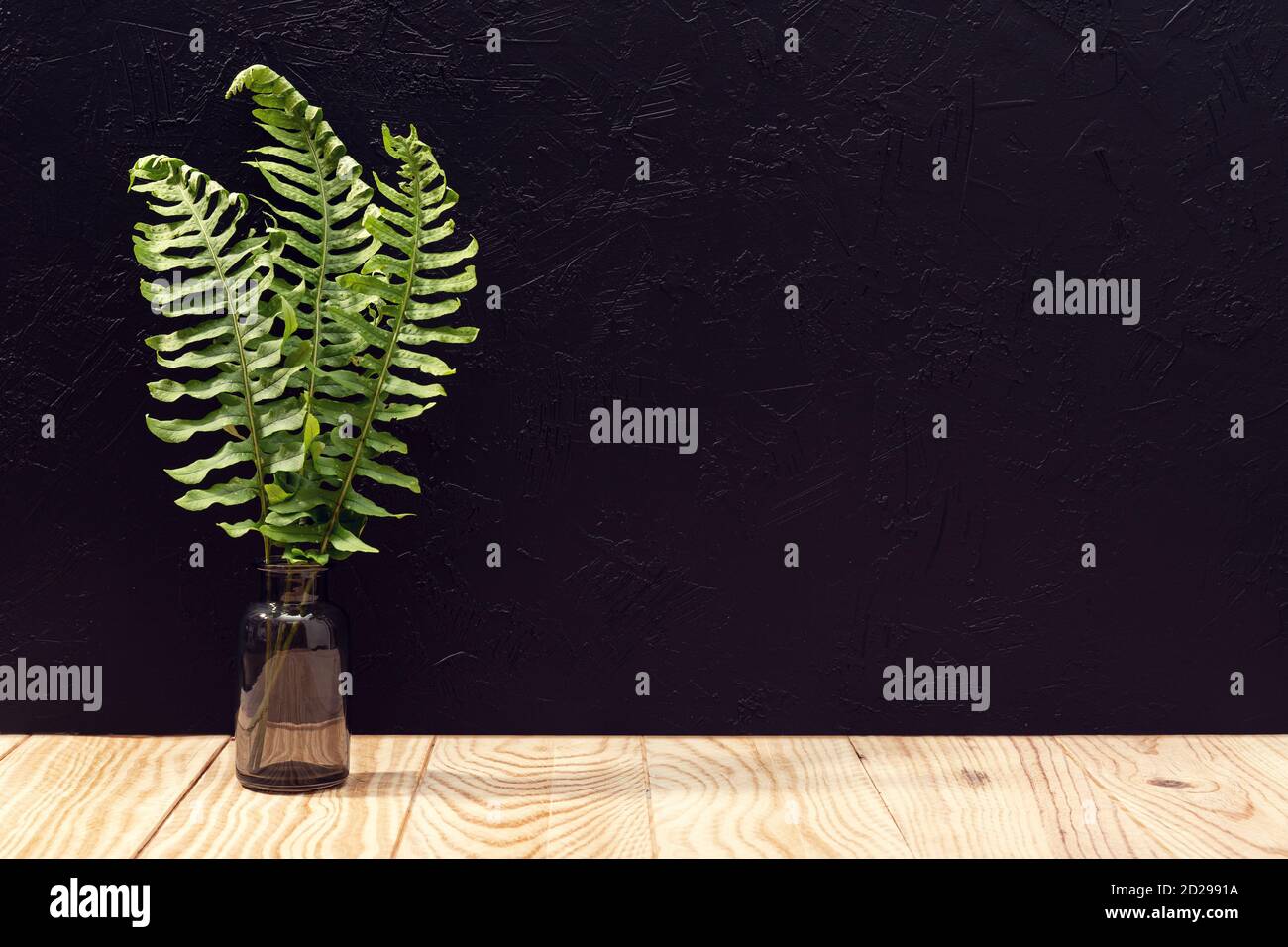 Table en bois vide et feuilles sur fond de mur texturé noir. Modèle de maquette. Copier l'espace Banque D'Images Table en bois vide et feuilles sur fond de mur texturé noir. Modèle de maquette. Copier l'espace Banque D'Images