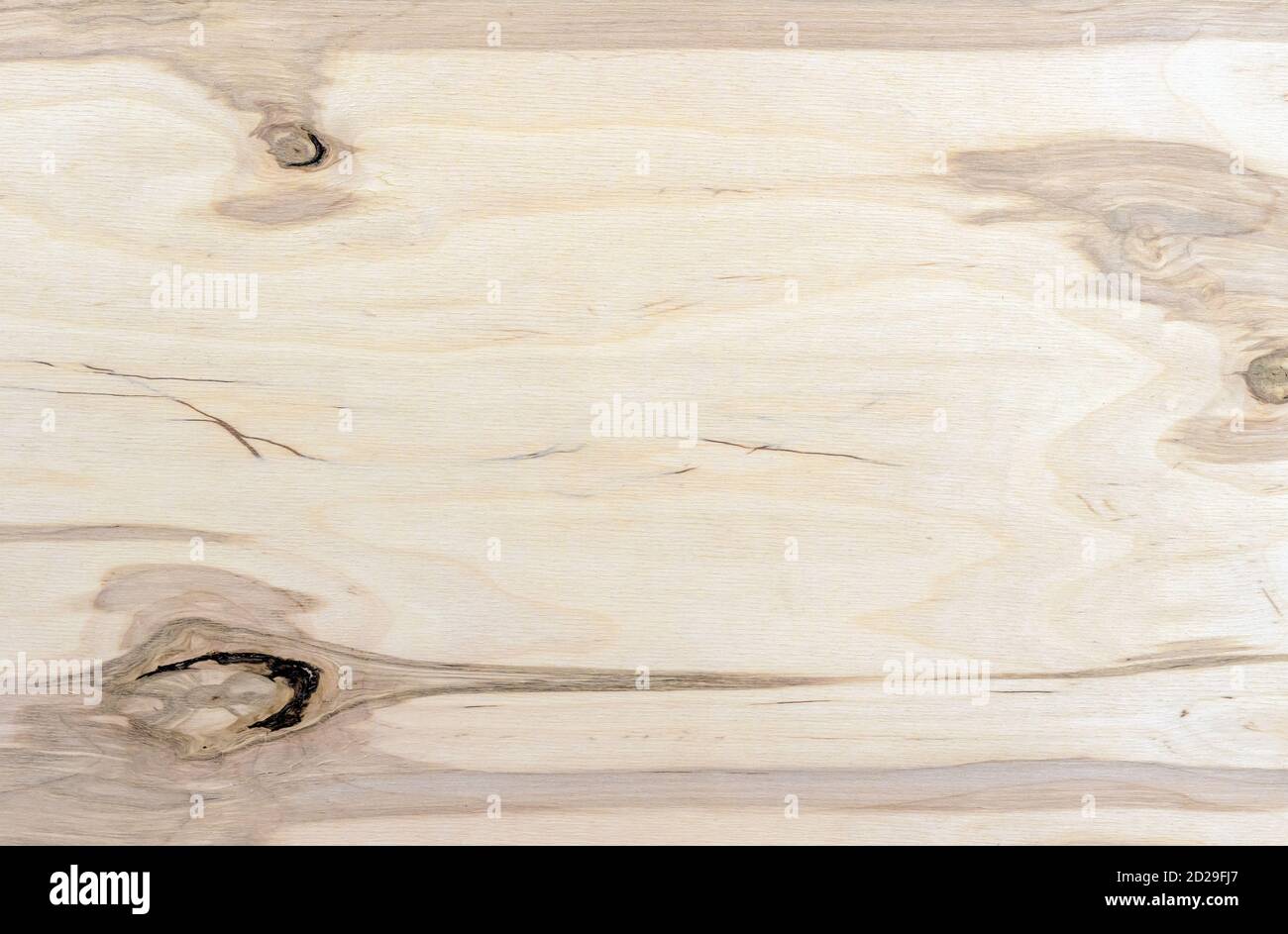 Texture de contreplaqué avec nœuds. Arrière-plan en bois de la feuille de contreplaqué. Banque D'Images