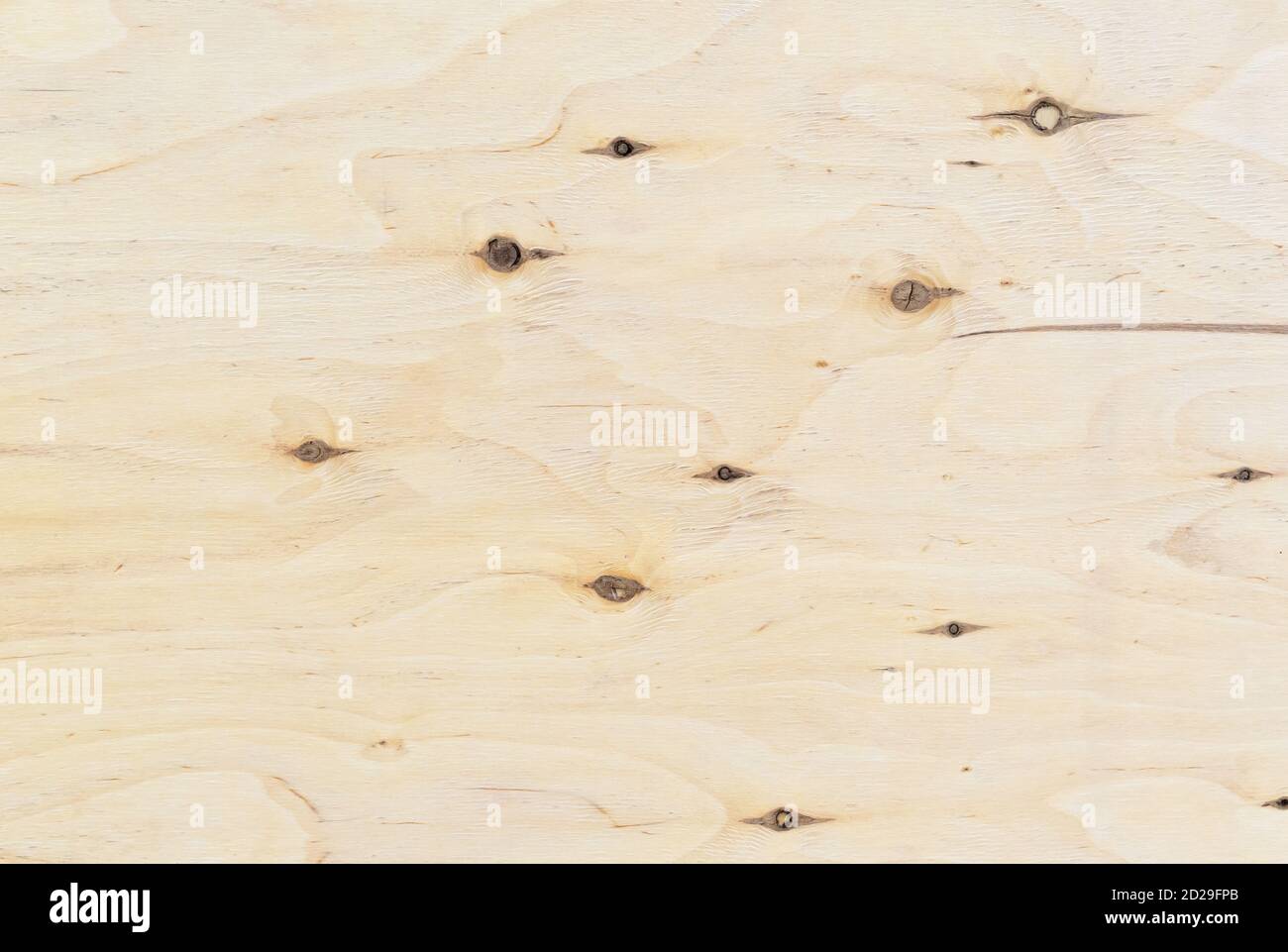 Texture de contreplaqué avec nœuds. Arrière-plan en bois de la feuille de contreplaqué. Banque D'Images