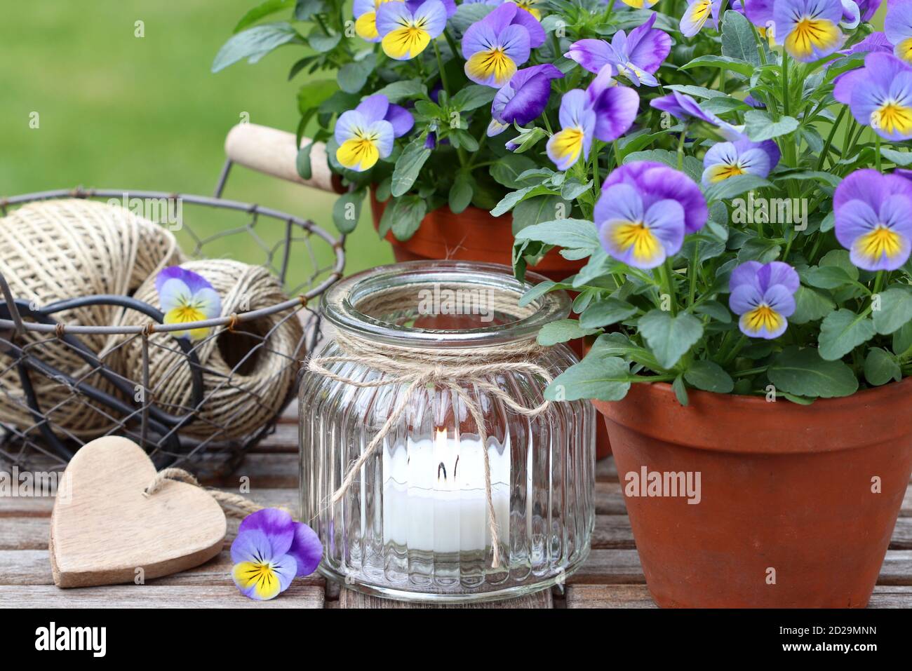 fleurs de violette et de jaune et lanterne de table jardin de printemps  Photo Stock - Alamy