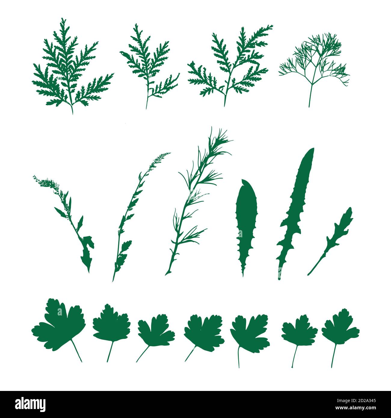 Mettez les herbes vertes, les plantes sauvages. Répétition isolée. Illustration de Vecteur