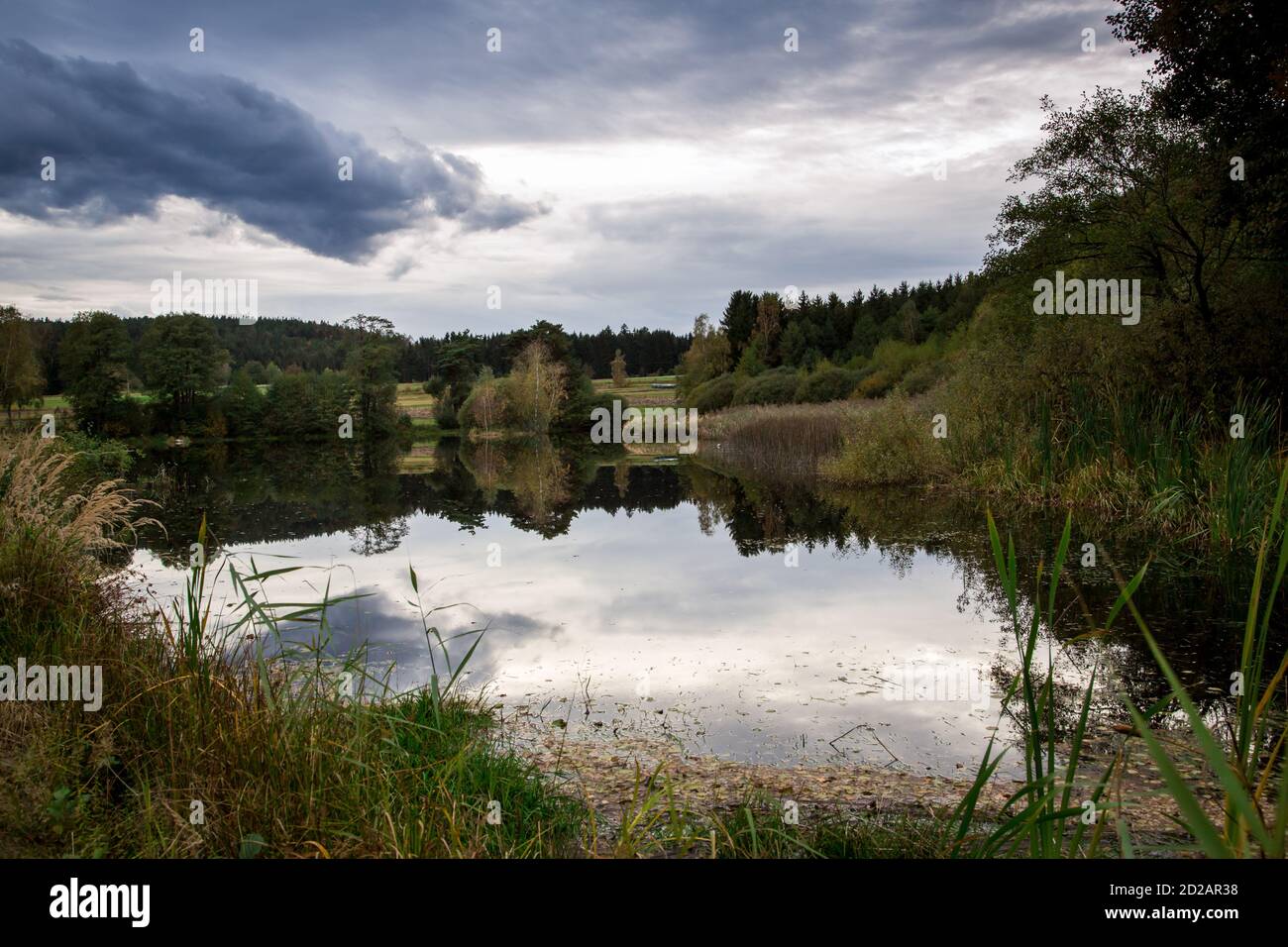 Étang de carpes dans le Waldviertel, Autriche, un jour d'automne nuageux Banque D'Images